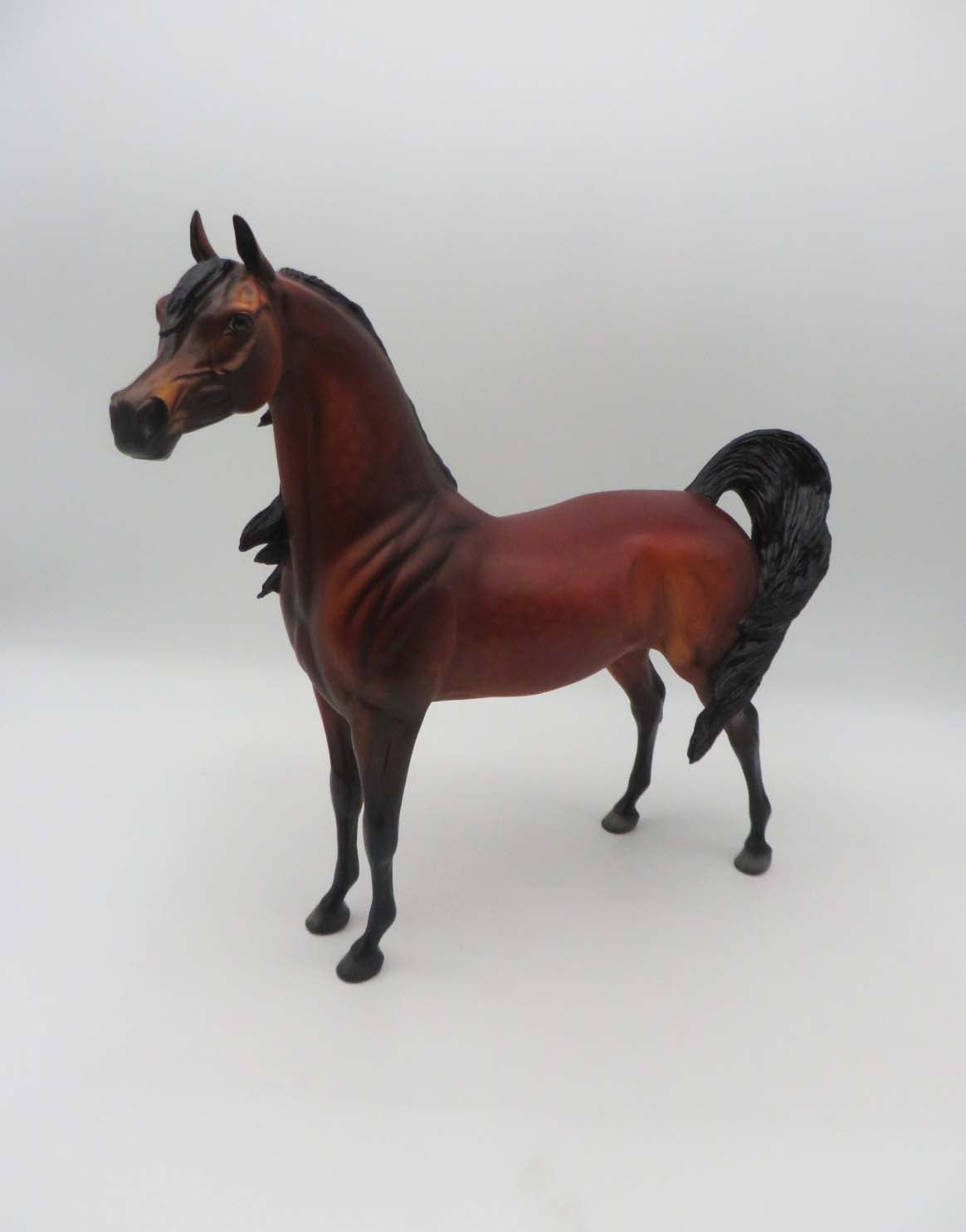 Deacon OOAK Dappled Bay Arabian By Dawn Quick SHCF23