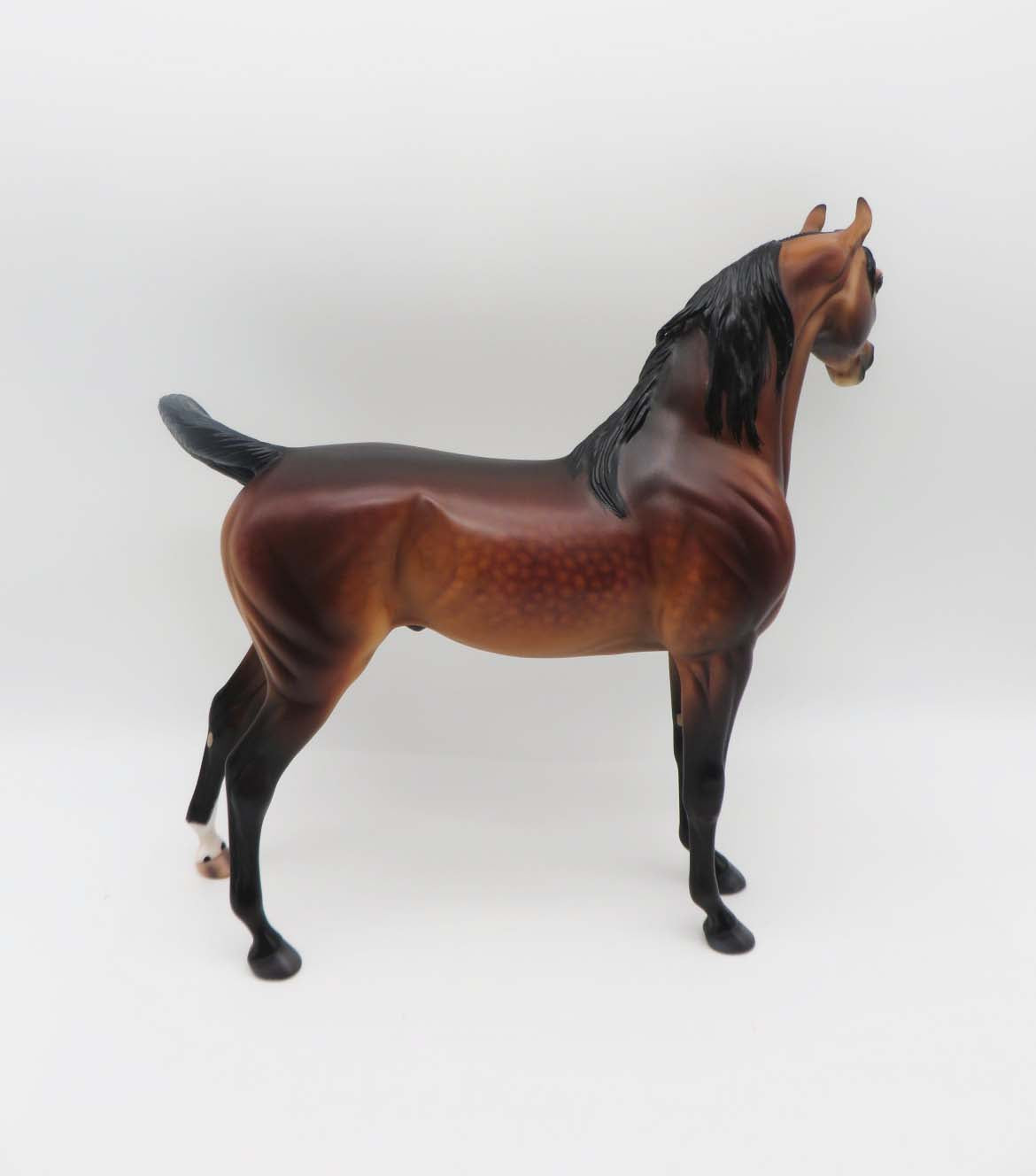 Deacon - OOAK - Dappled Bay Arabian By Caroline Boydston BEST OFFER 3/13/23