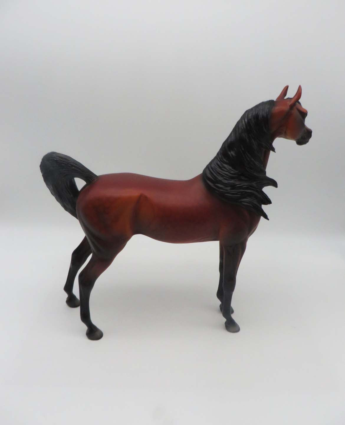 Deacon OOAK Dappled Bay Arabian By Dawn Quick SHCF23