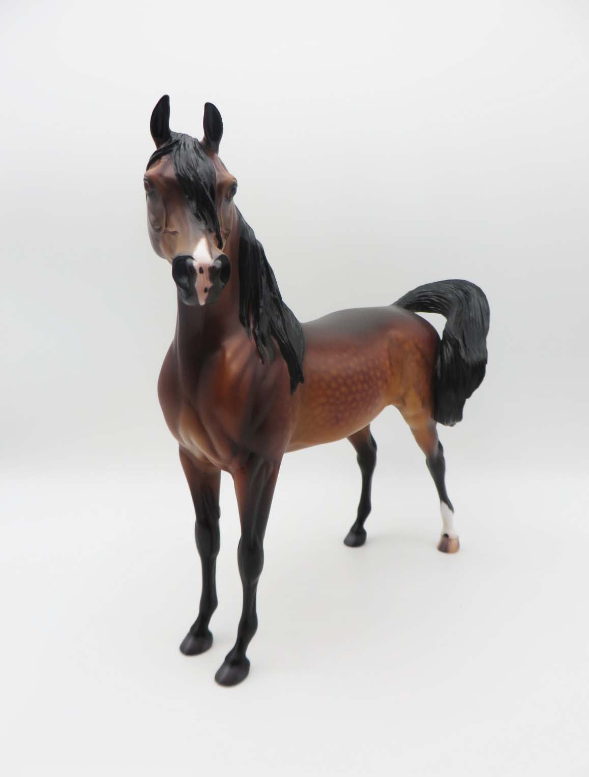 Deacon - OOAK - Dappled Bay Arabian By Caroline Boydston BEST OFFER 3/13/23