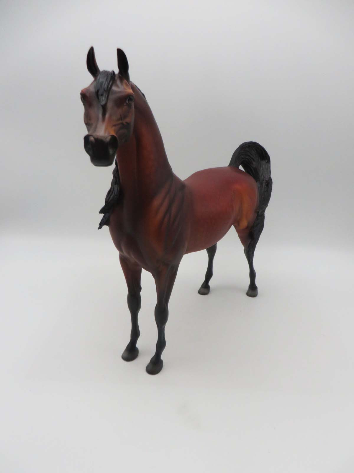Deacon OOAK Dappled Bay Arabian By Dawn Quick SHCF23