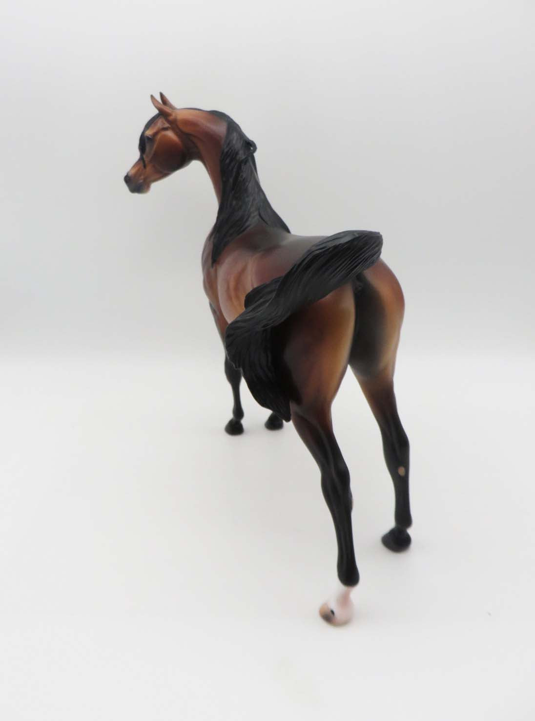Deacon - OOAK - Dappled Bay Arabian By Caroline Boydston BEST OFFER 3/13/23