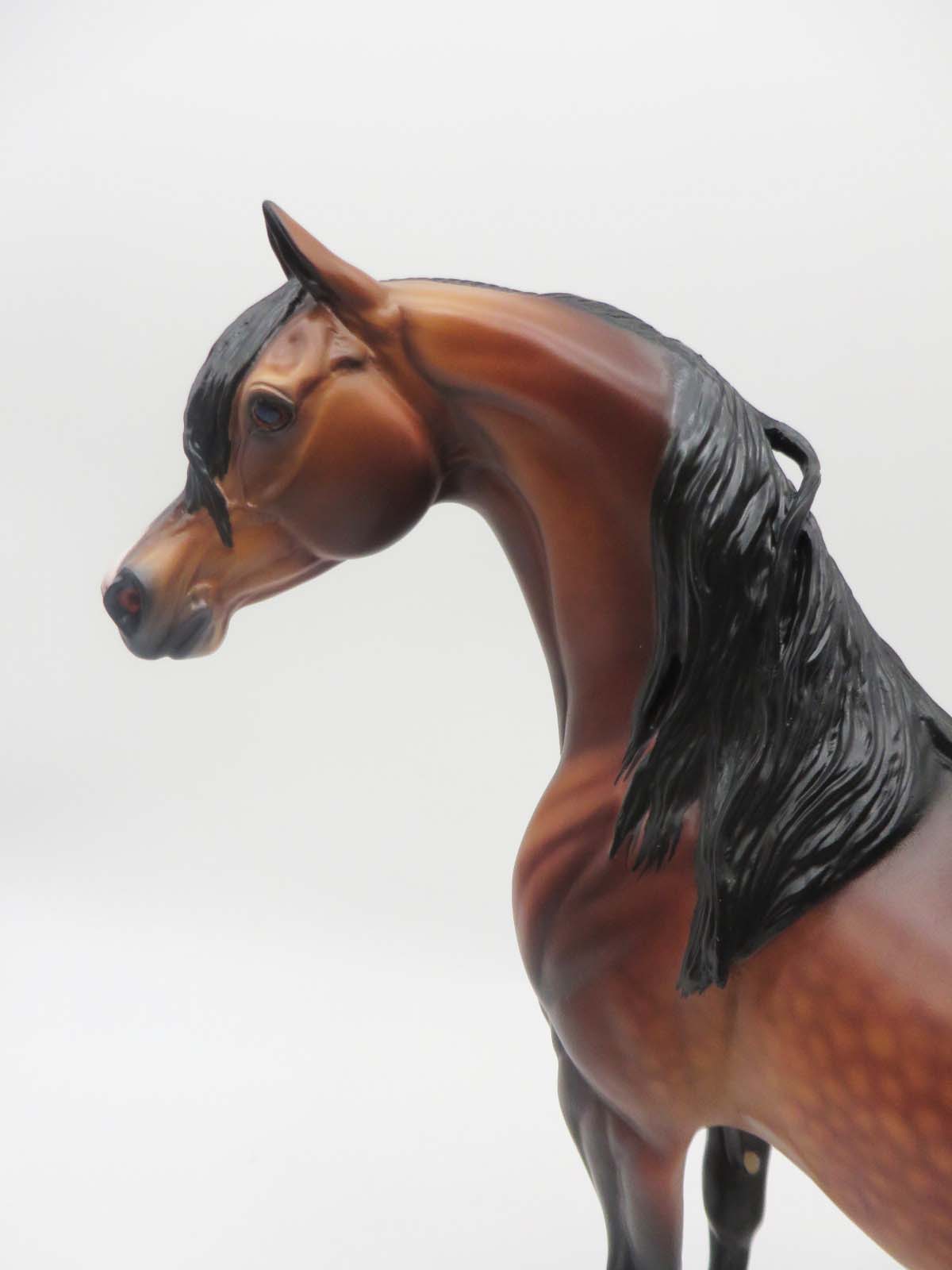 Deacon - OOAK - Dappled Bay Arabian By Caroline Boydston BEST OFFER 3/13/23