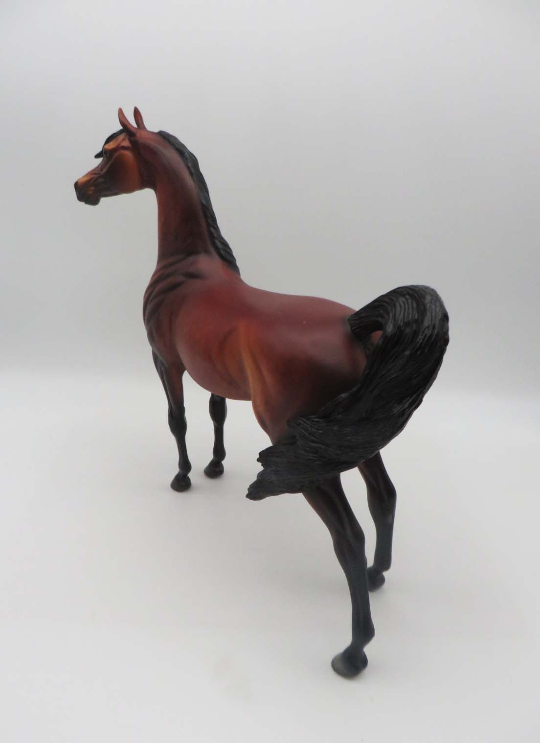 Deacon OOAK Dappled Bay Arabian By Dawn Quick SHCF23