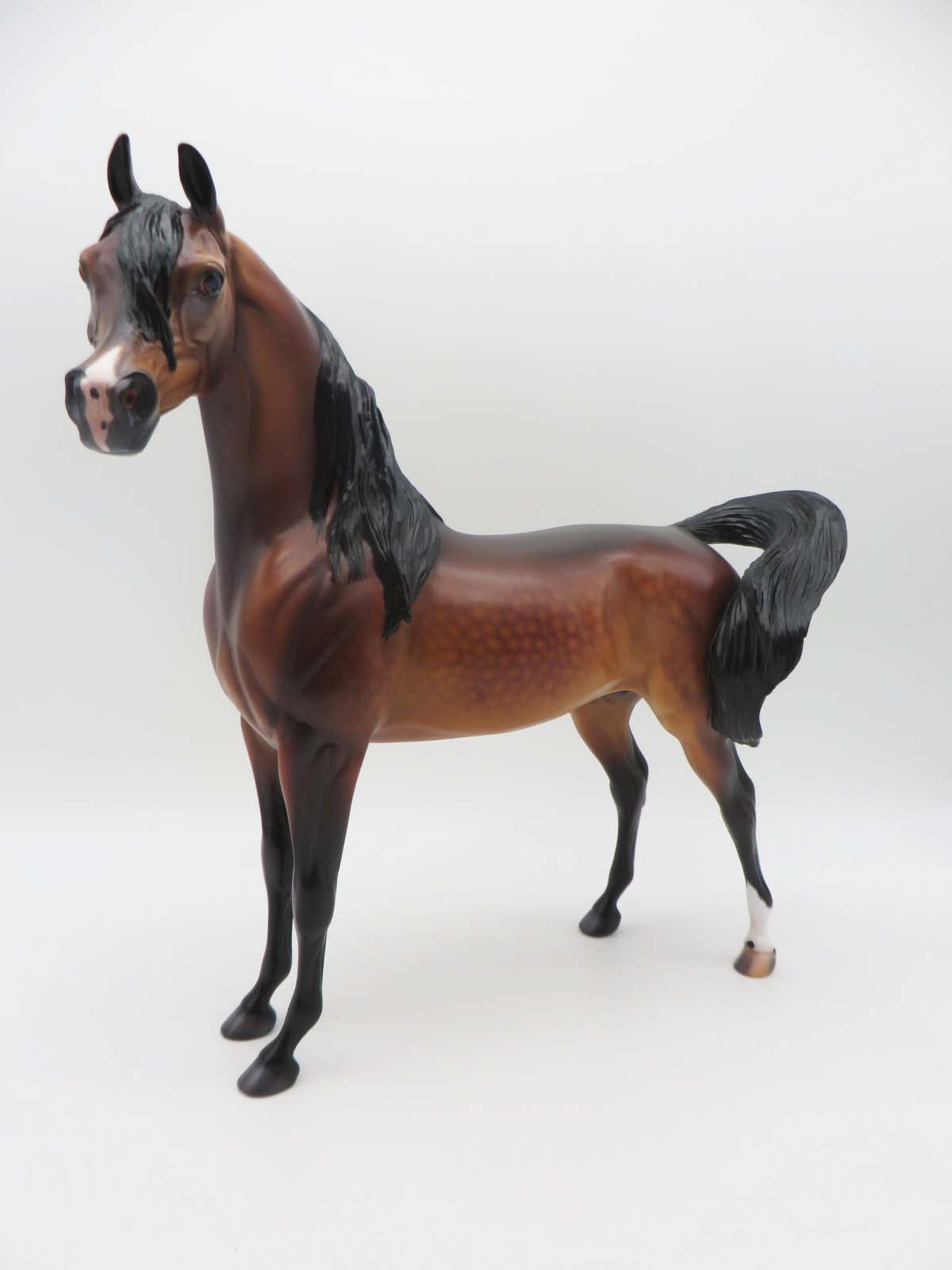 Deacon - OOAK - Dappled Bay Arabian By Caroline Boydston BEST OFFER 3/13/23