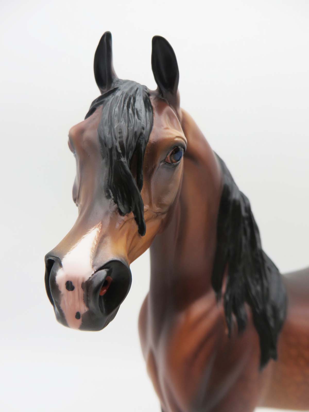 Deacon - OOAK - Dappled Bay Arabian By Caroline Boydston BEST OFFER 3/13/23