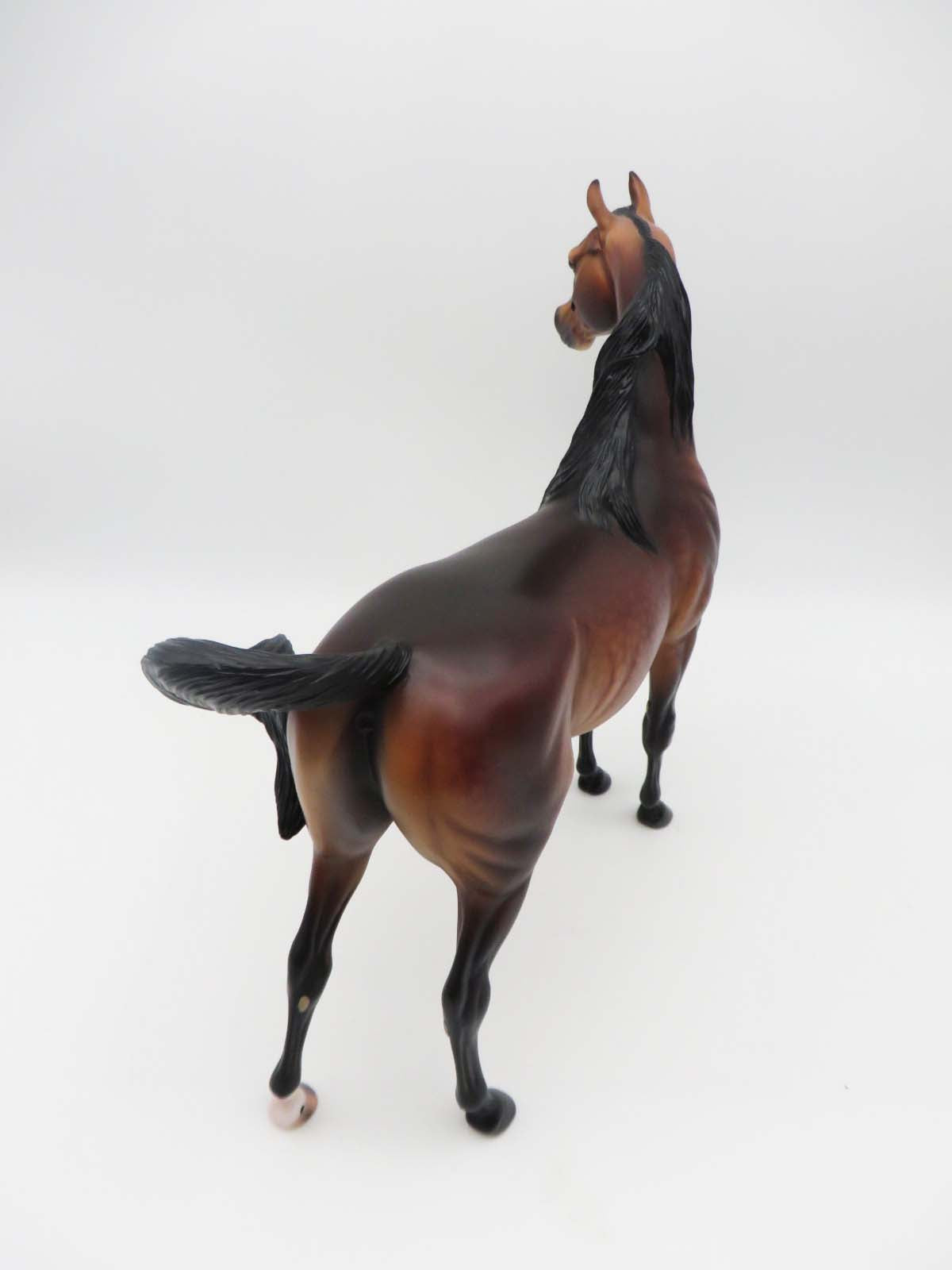 Deacon - OOAK - Dappled Bay Arabian By Caroline Boydston BEST OFFER 3/13/23