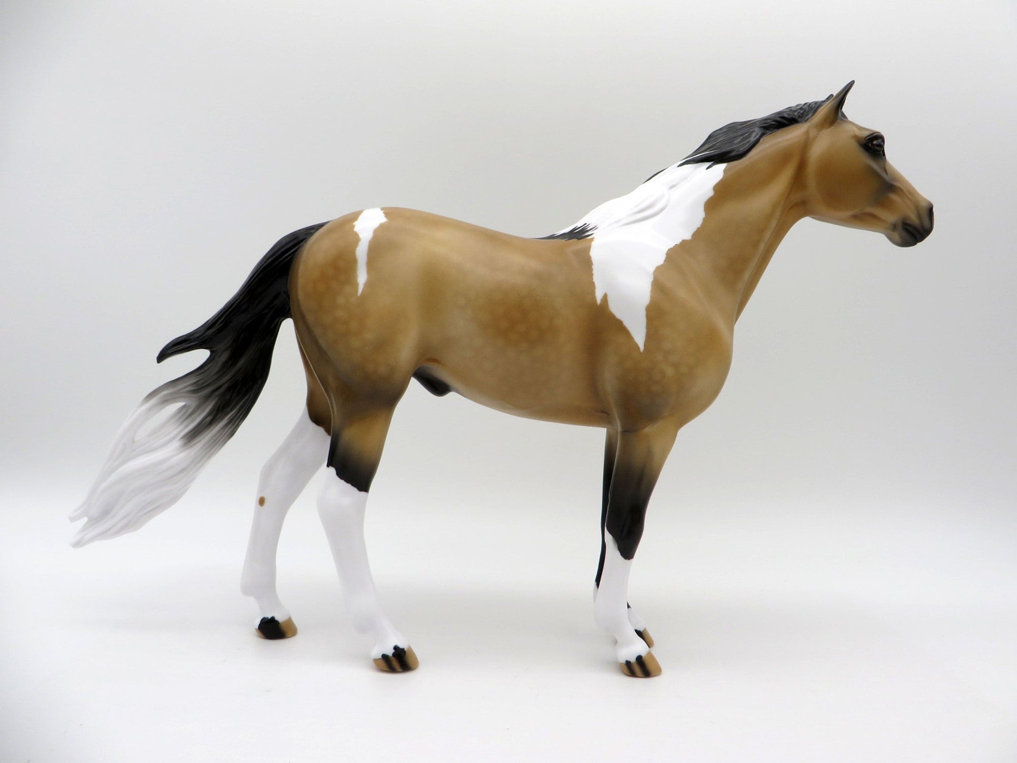 Decima-OOAK Dapple Buckskin Pinto Mustang SHCF 2021