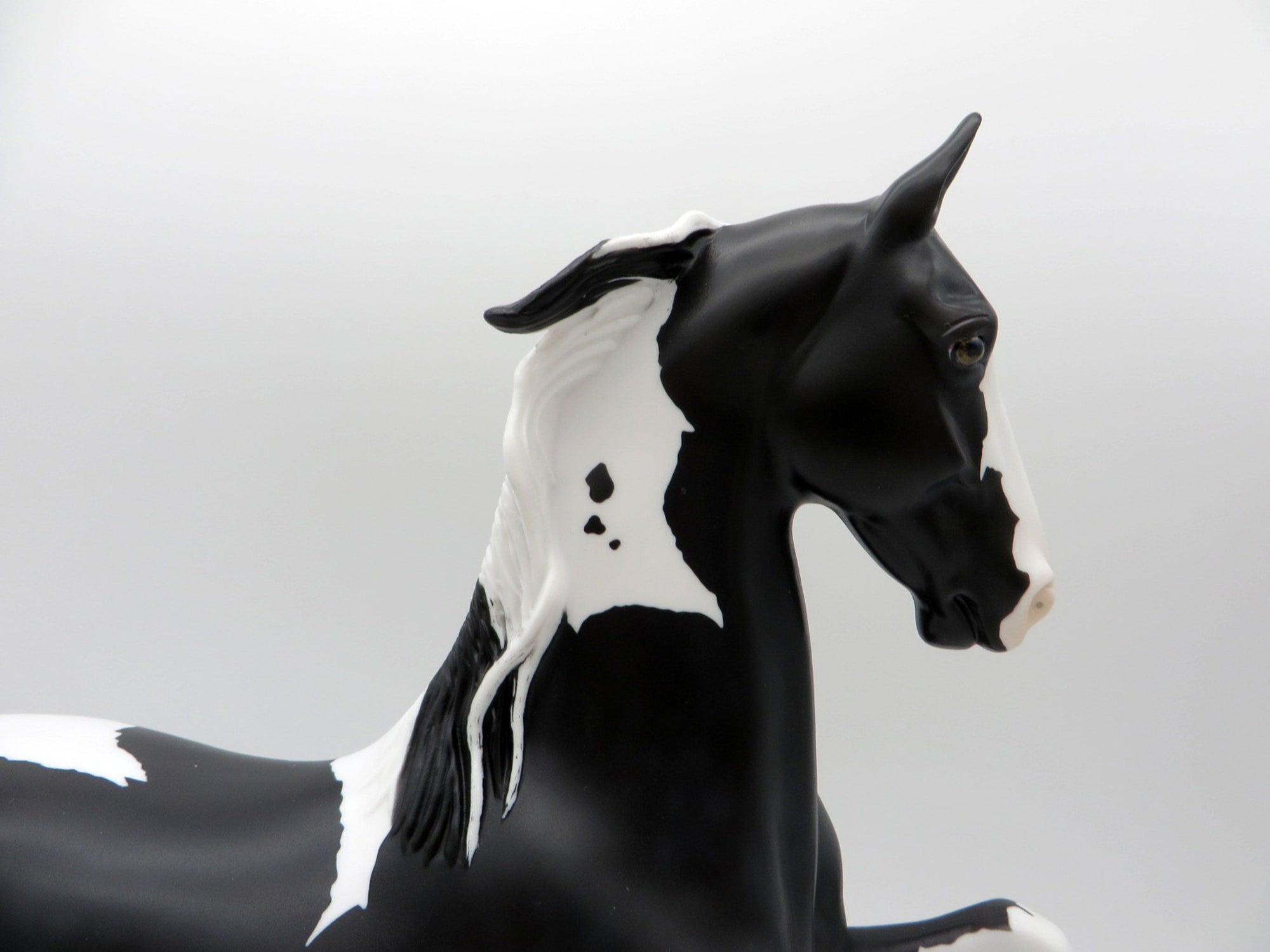 Deep Sea-OOAK Dapple Black Paint Saddlebred SHCF 2021