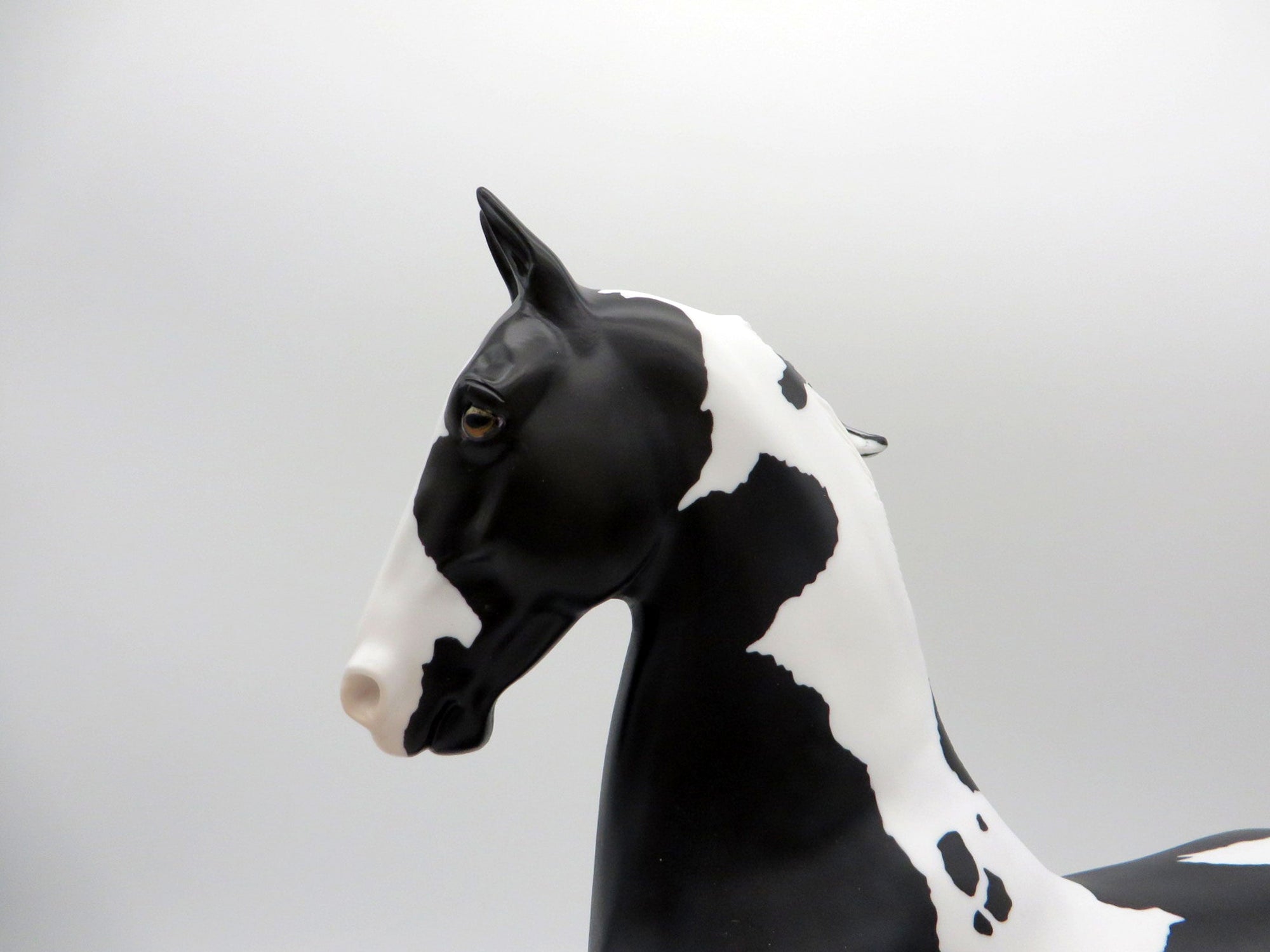 Deep Sea-OOAK Dapple Black Paint Saddlebred SHCF 2021