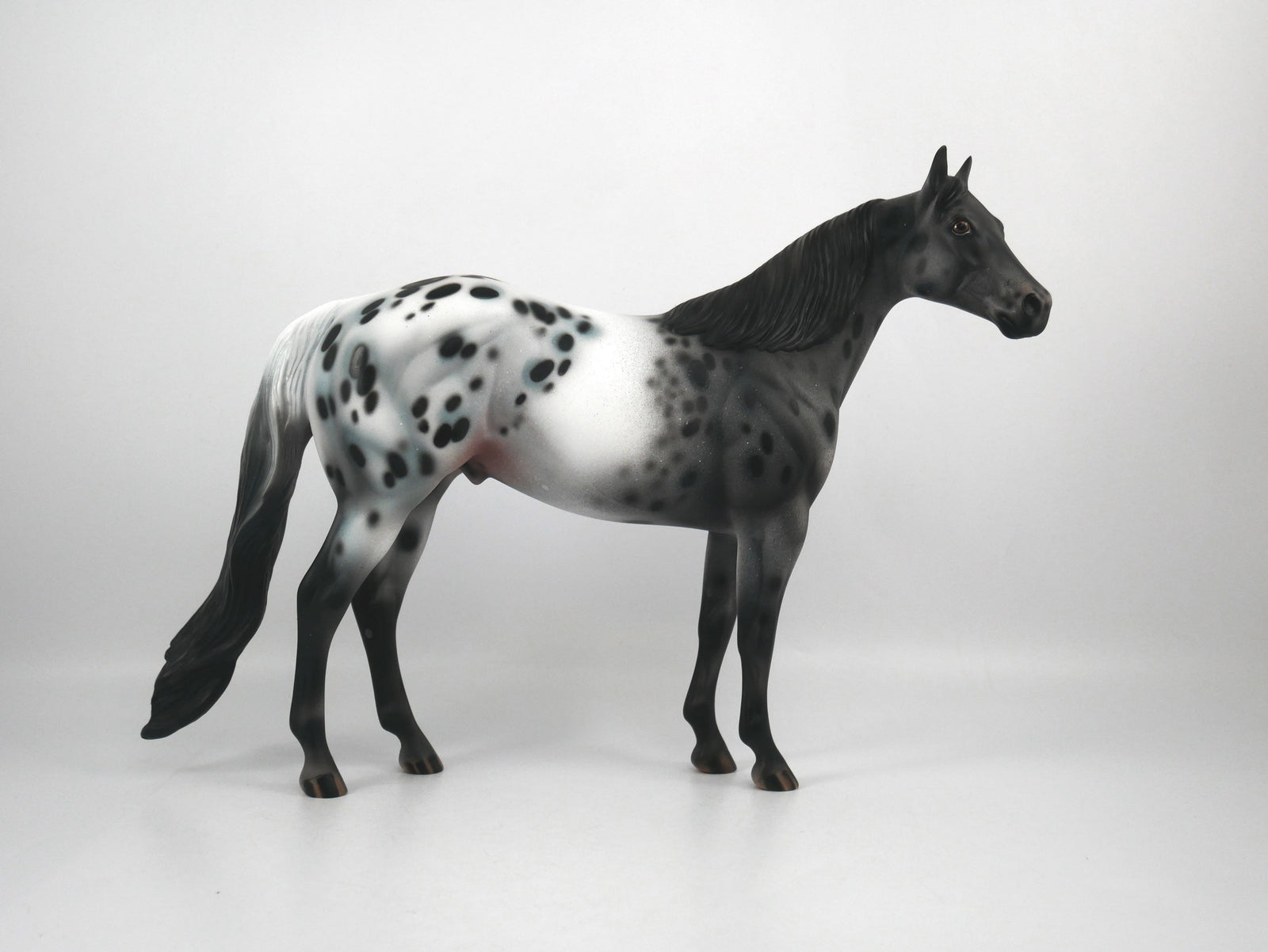 Def Leppard-OOAK Appaloosa ISH1/8/21