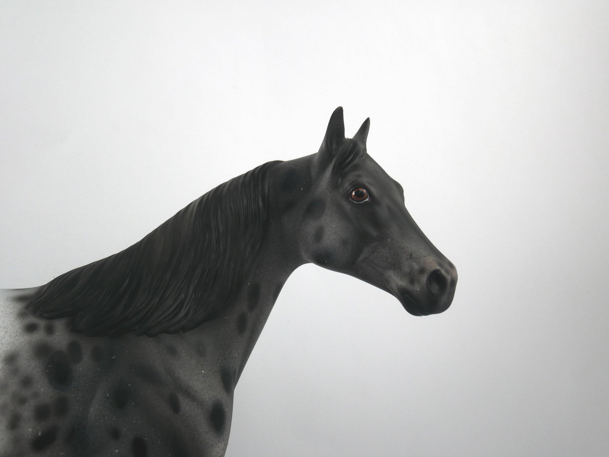 Def Leppard-OOAK Appaloosa ISH1/8/21