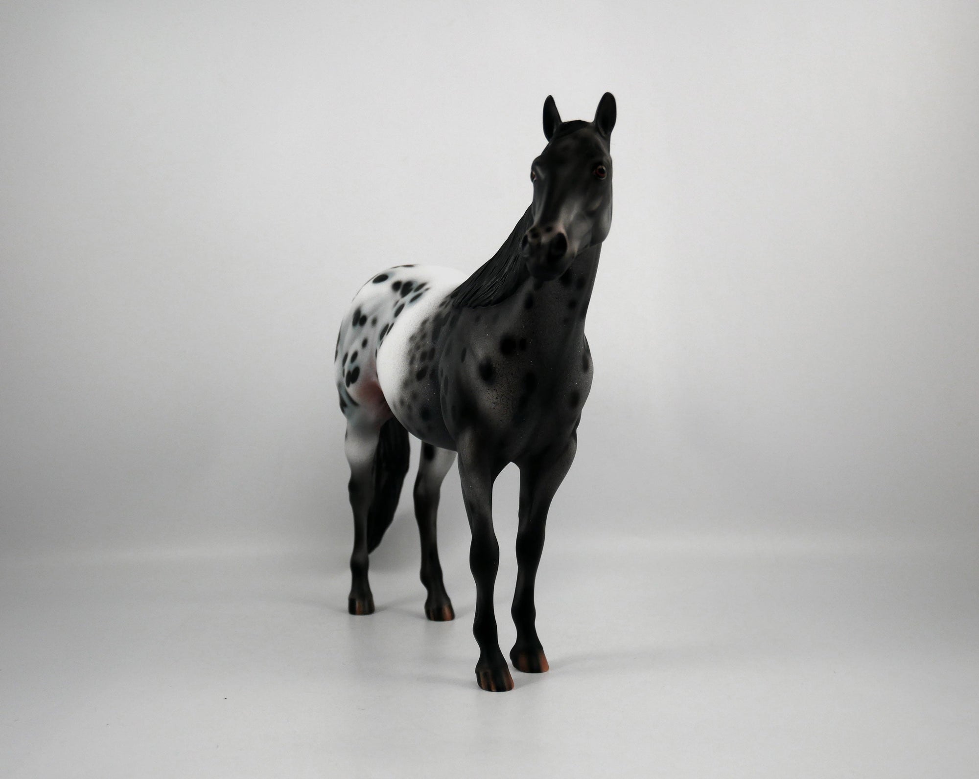 Def Leppard-OOAK Appaloosa ISH1/8/21