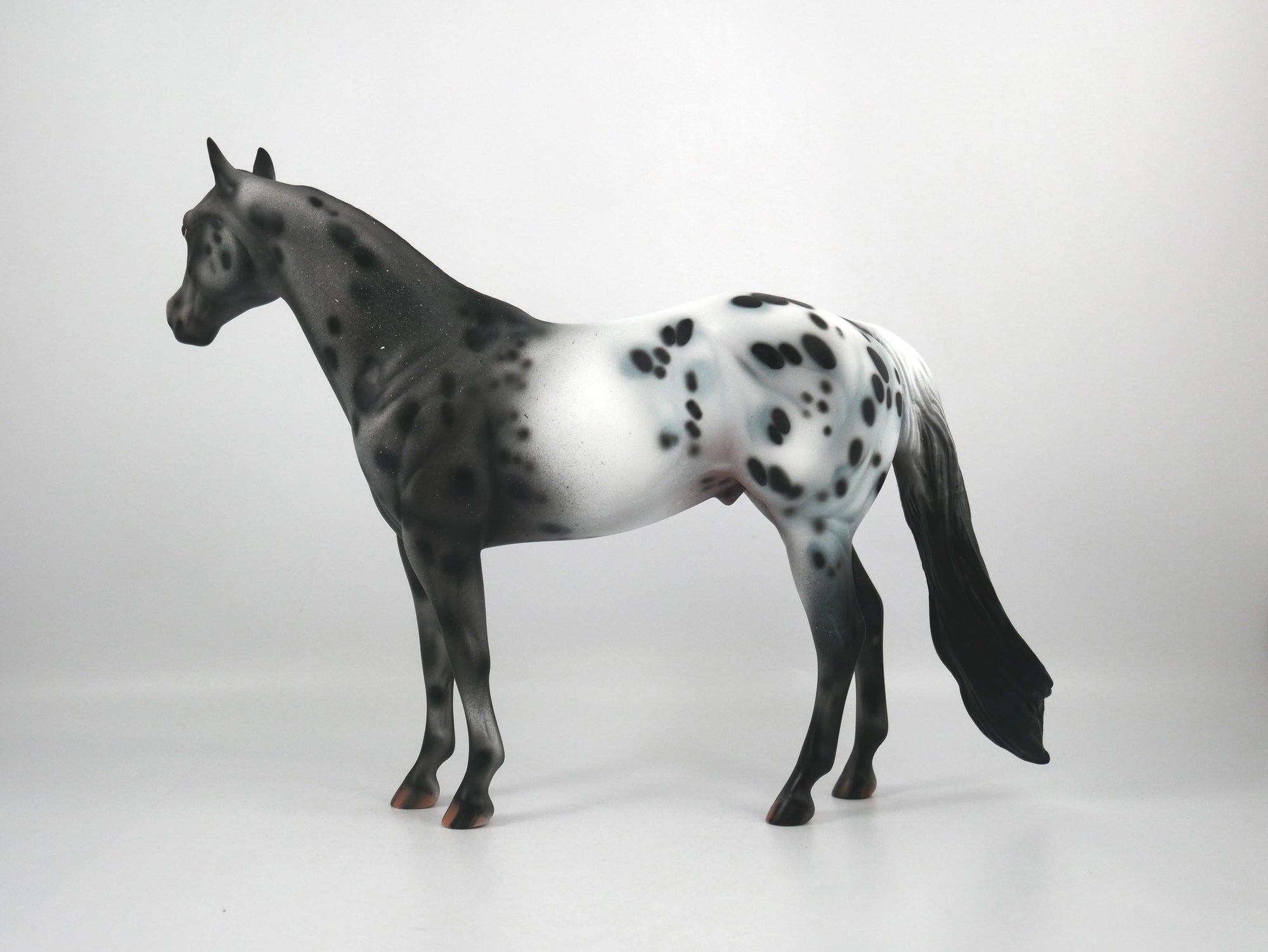 Def Leppard-OOAK Appaloosa ISH1/8/21