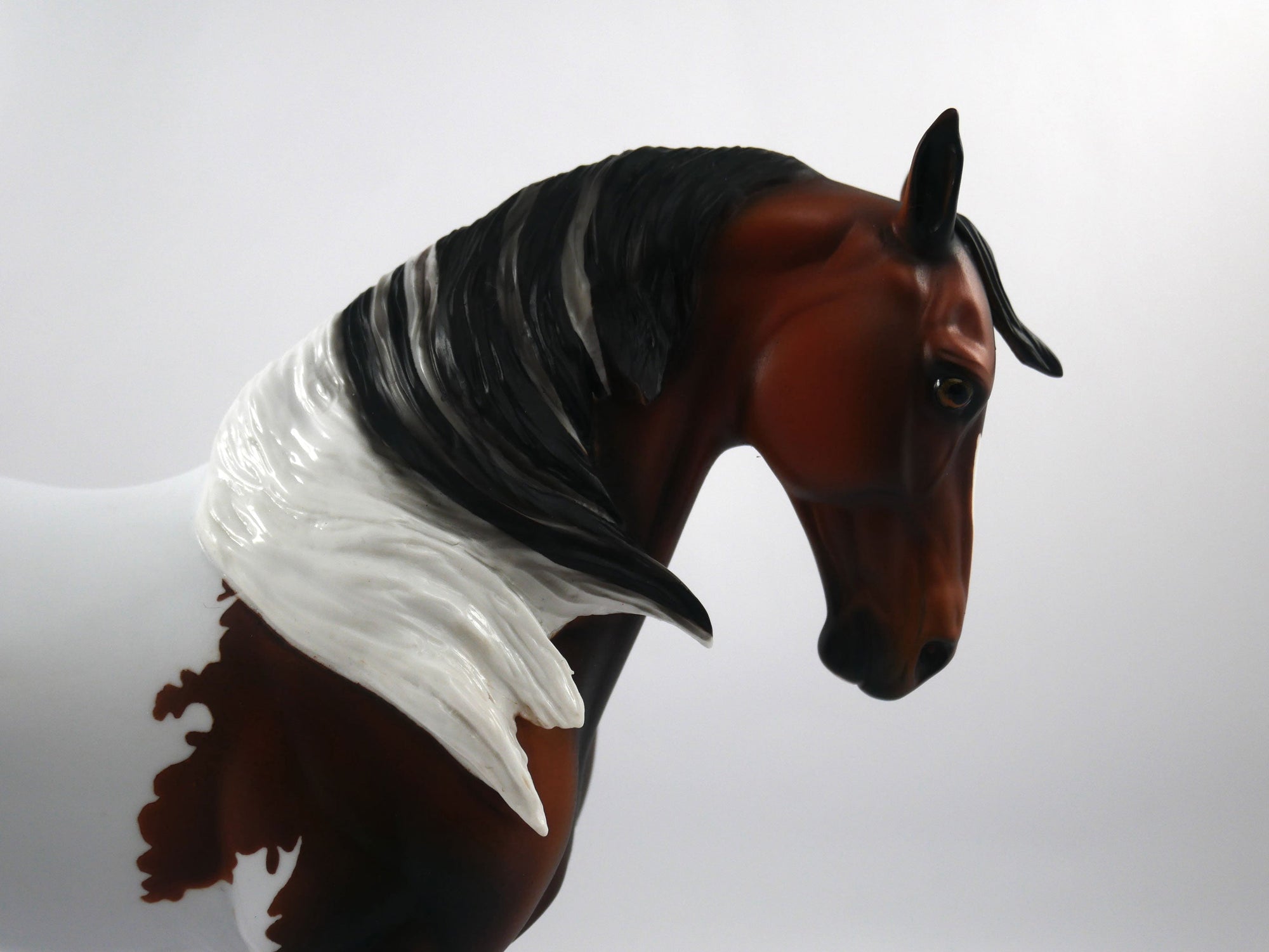 Defeat-OOAK Bay Paint Andalusian SB 21