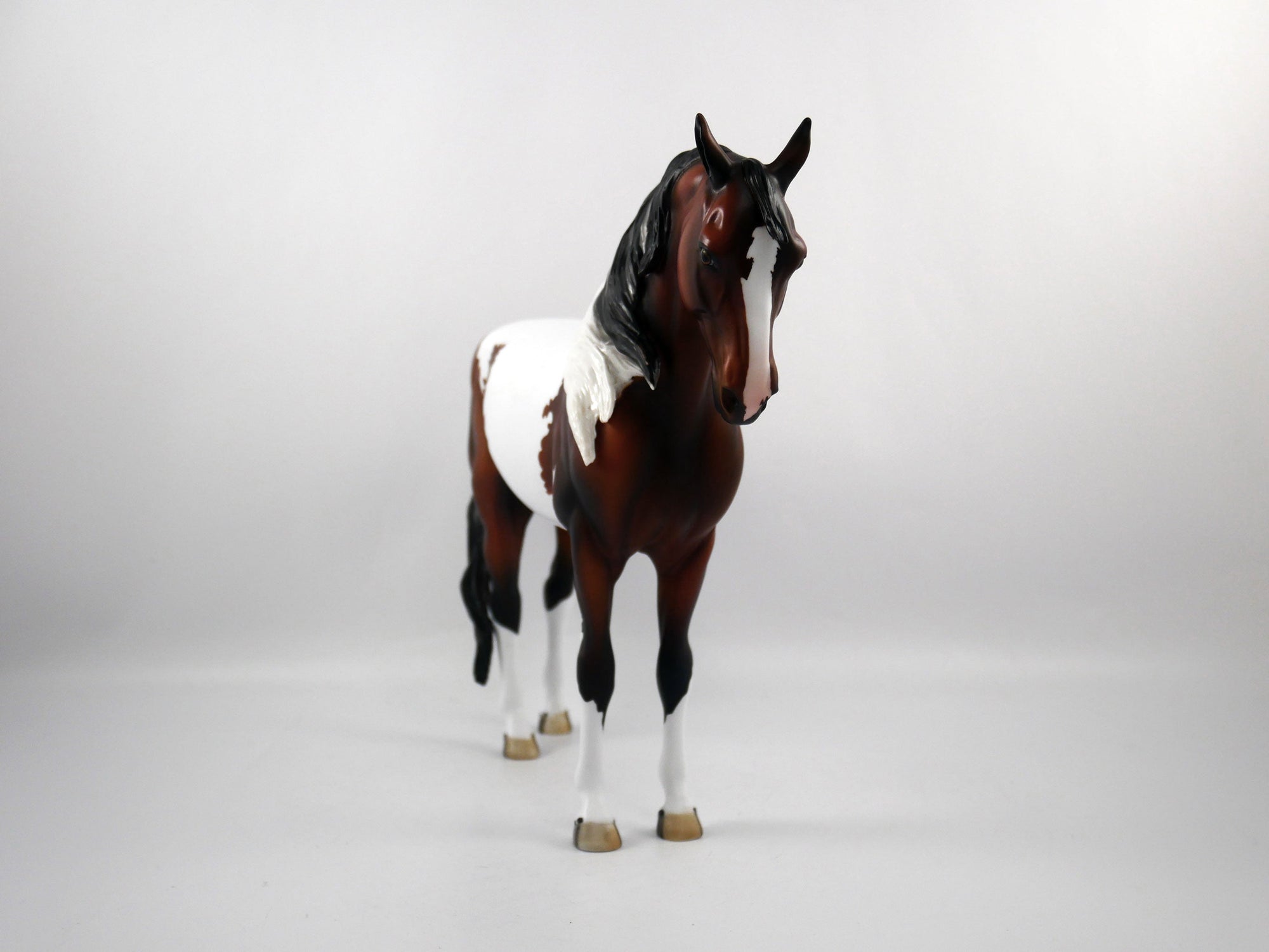 Defeat-OOAK Bay Paint Andalusian SB 21