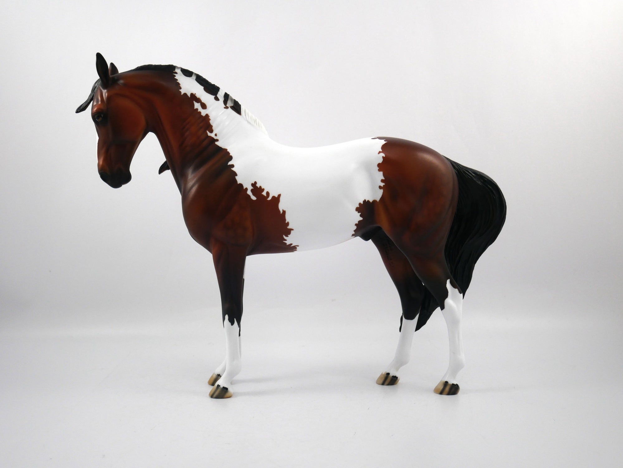 Defeat-OOAK Bay Paint Andalusian SB 21