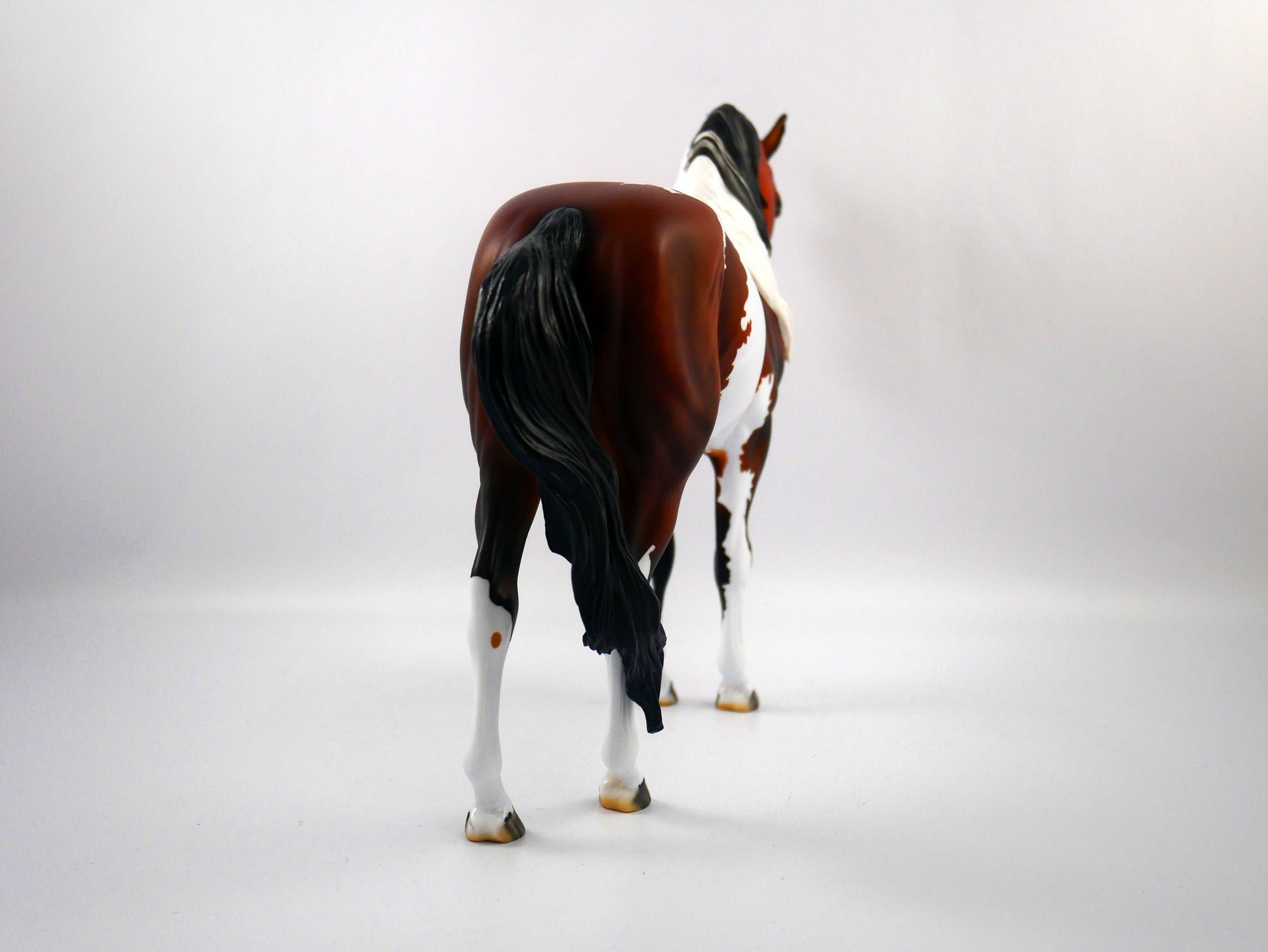 Defeat-OOAK Bay Paint Andalusian SB 21