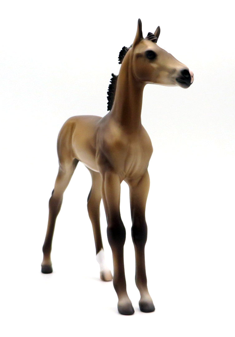 Del Mar-OOAK Andalusian Foal by Caroline Boydston 10/11/21