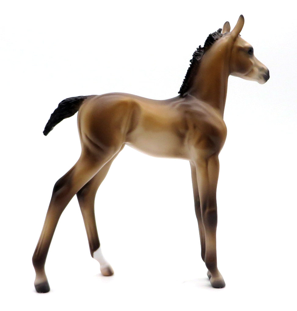 Del Mar-OOAK Andalusian Foal by Caroline Boydston 10/11/21