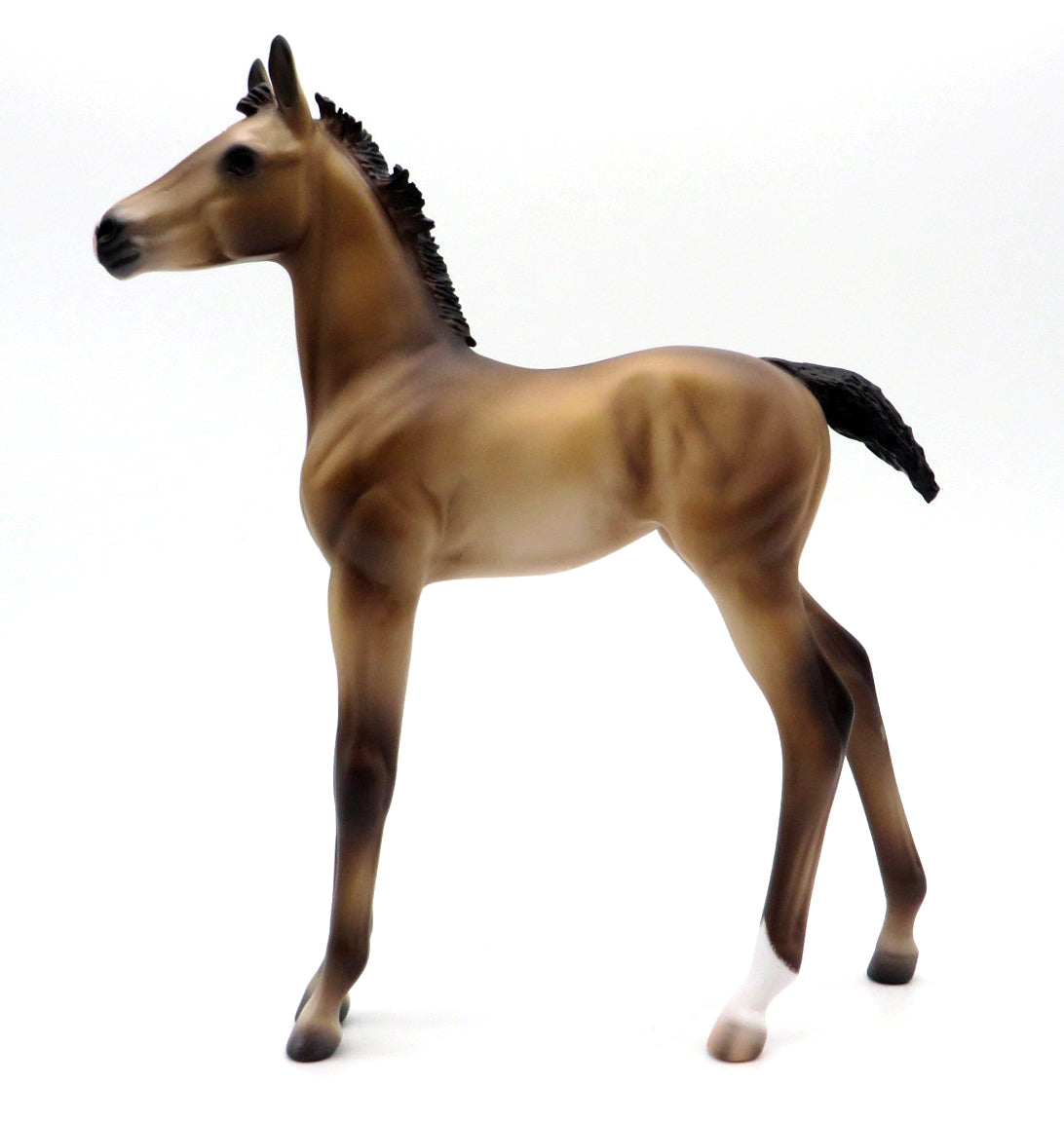 Del Mar-OOAK Andalusian Foal by Caroline Boydston 10/11/21