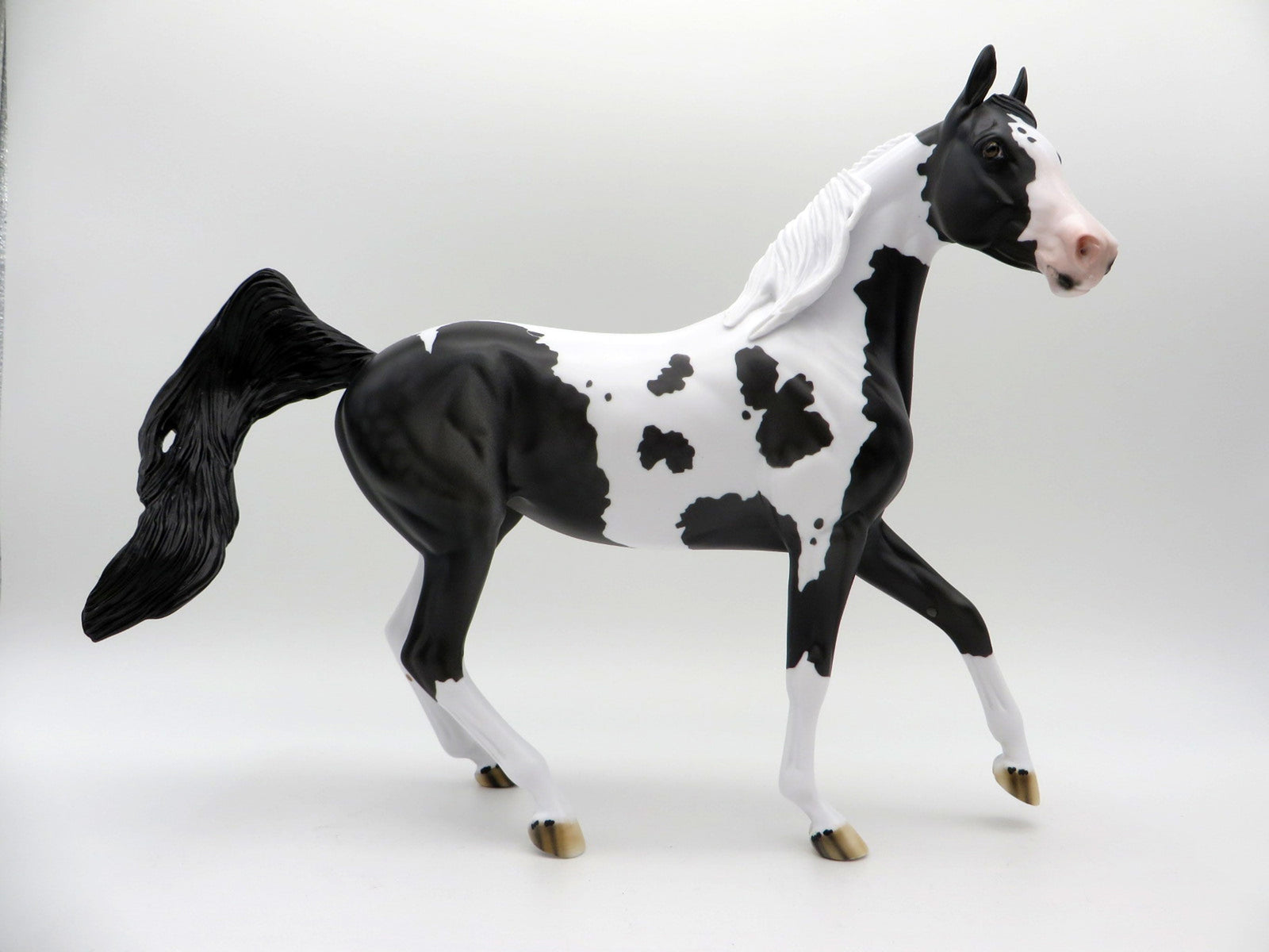 Delphinus-LE-3 Black and White Pinto Arabian Mare SHCF 2021