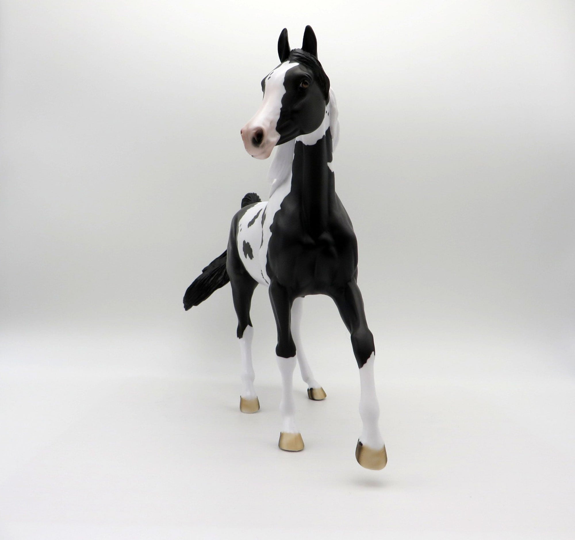 Delphinus-LE-3 Black and White Pinto Arabian Mare SHCF 2021