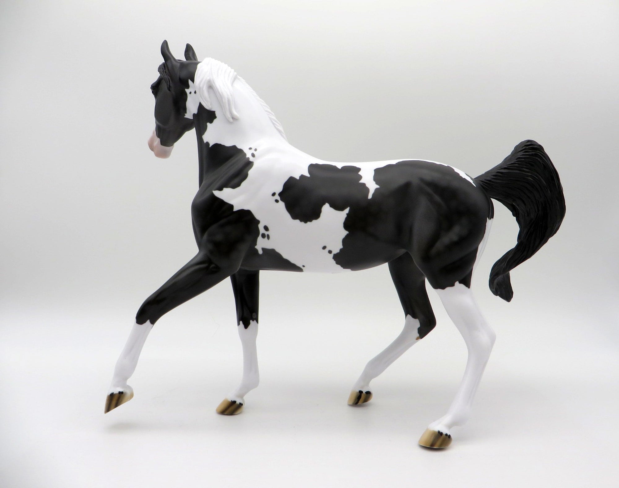 Delphinus-LE-3 Black and White Pinto Arabian Mare SHCF 2021