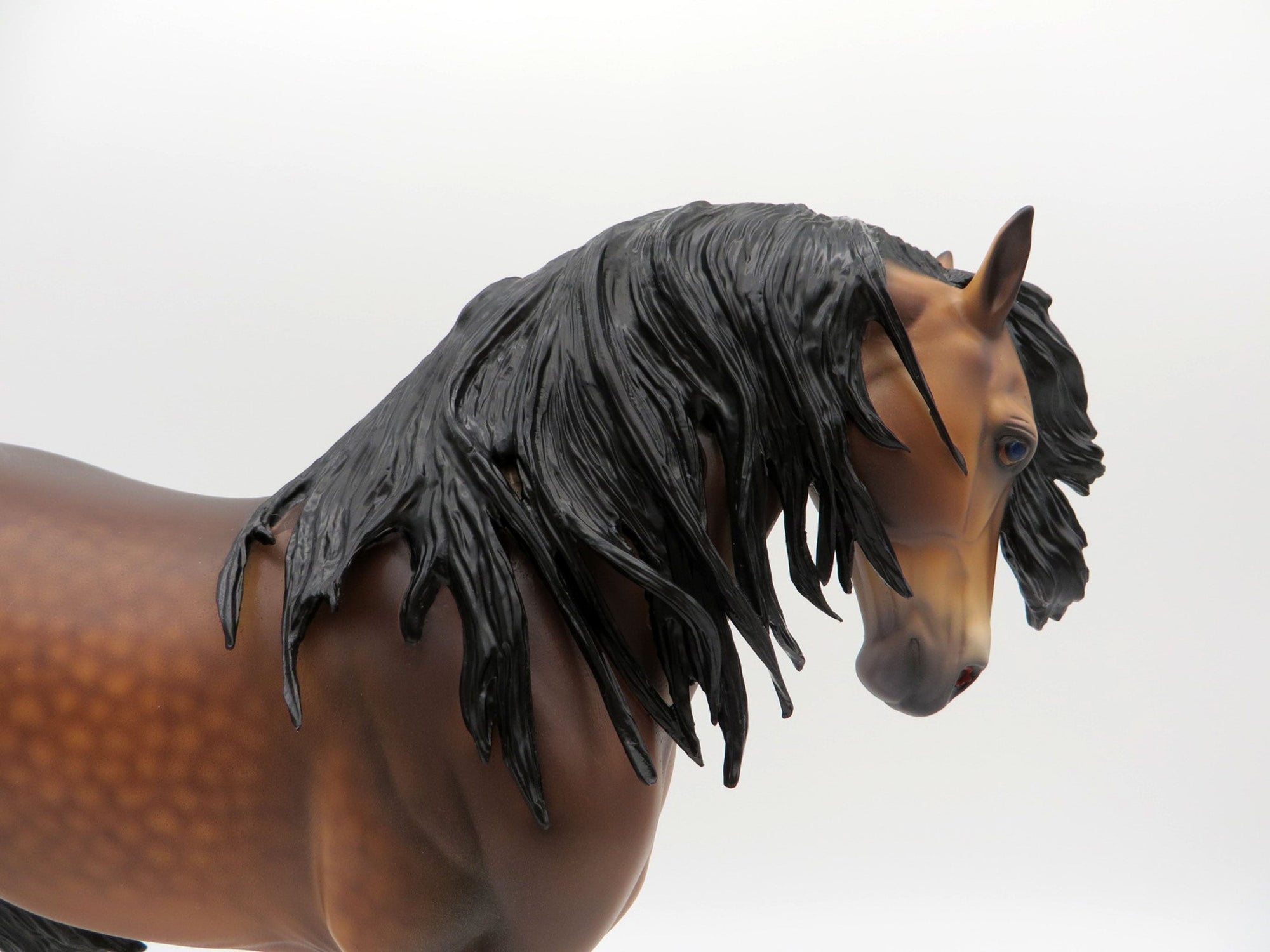 Denali-OOAK Bay Andalusian Painted By Caroline Boydston 6/22/21