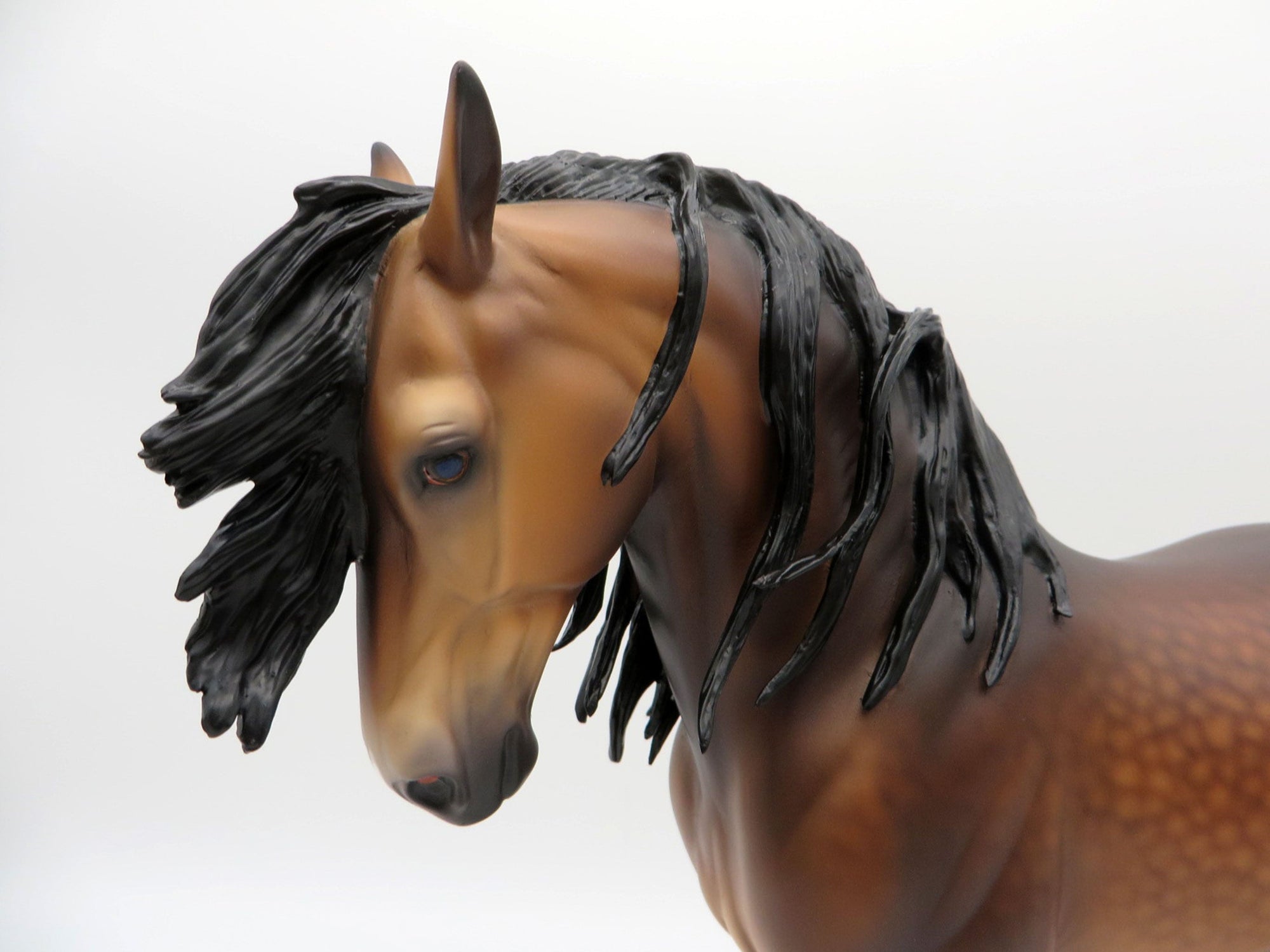 Denali-OOAK Bay Andalusian Painted By Caroline Boydston 6/22/21