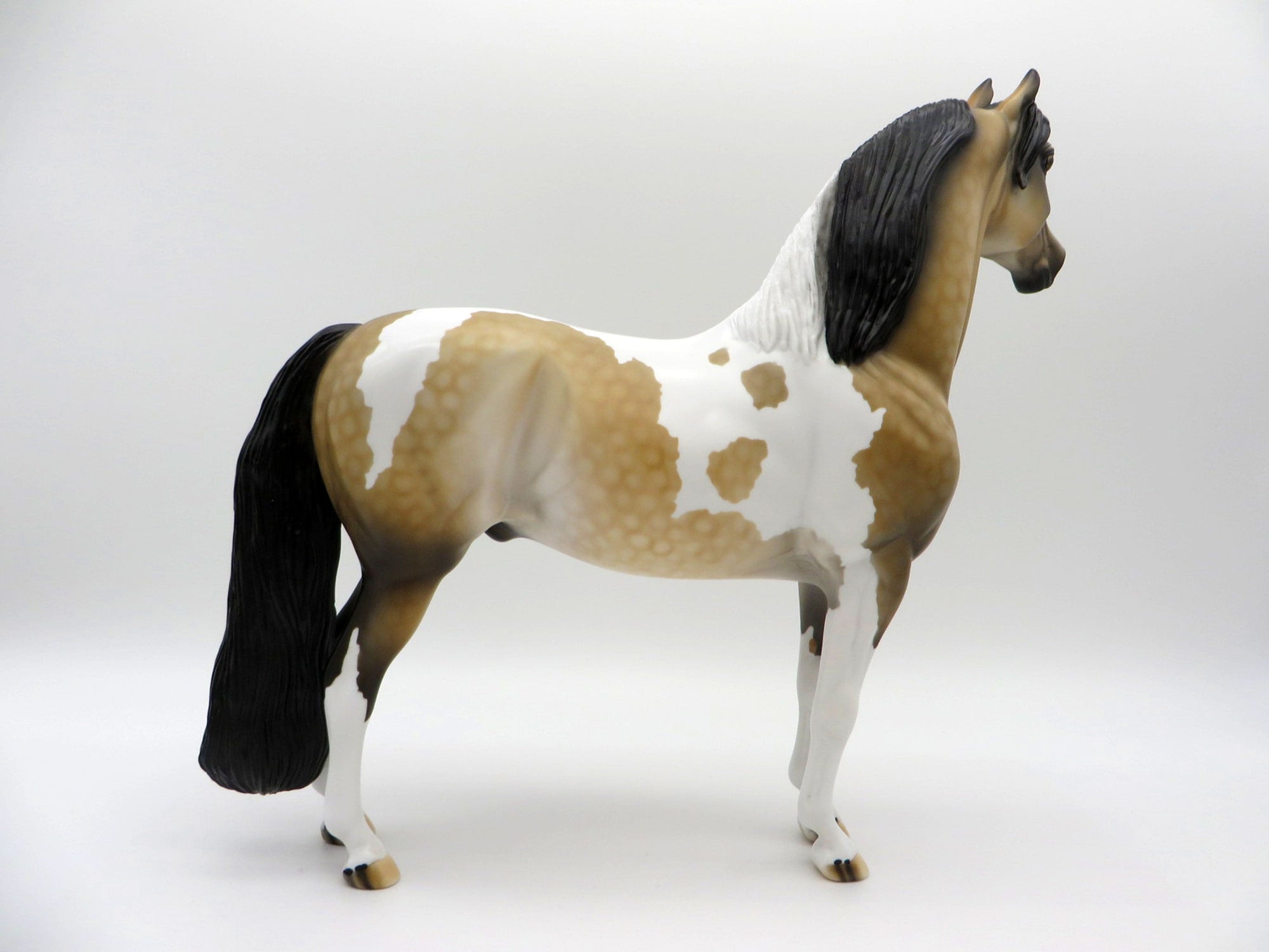 Desert Sky-OOAK Buckskin Morgan Paint  SHCF 2021