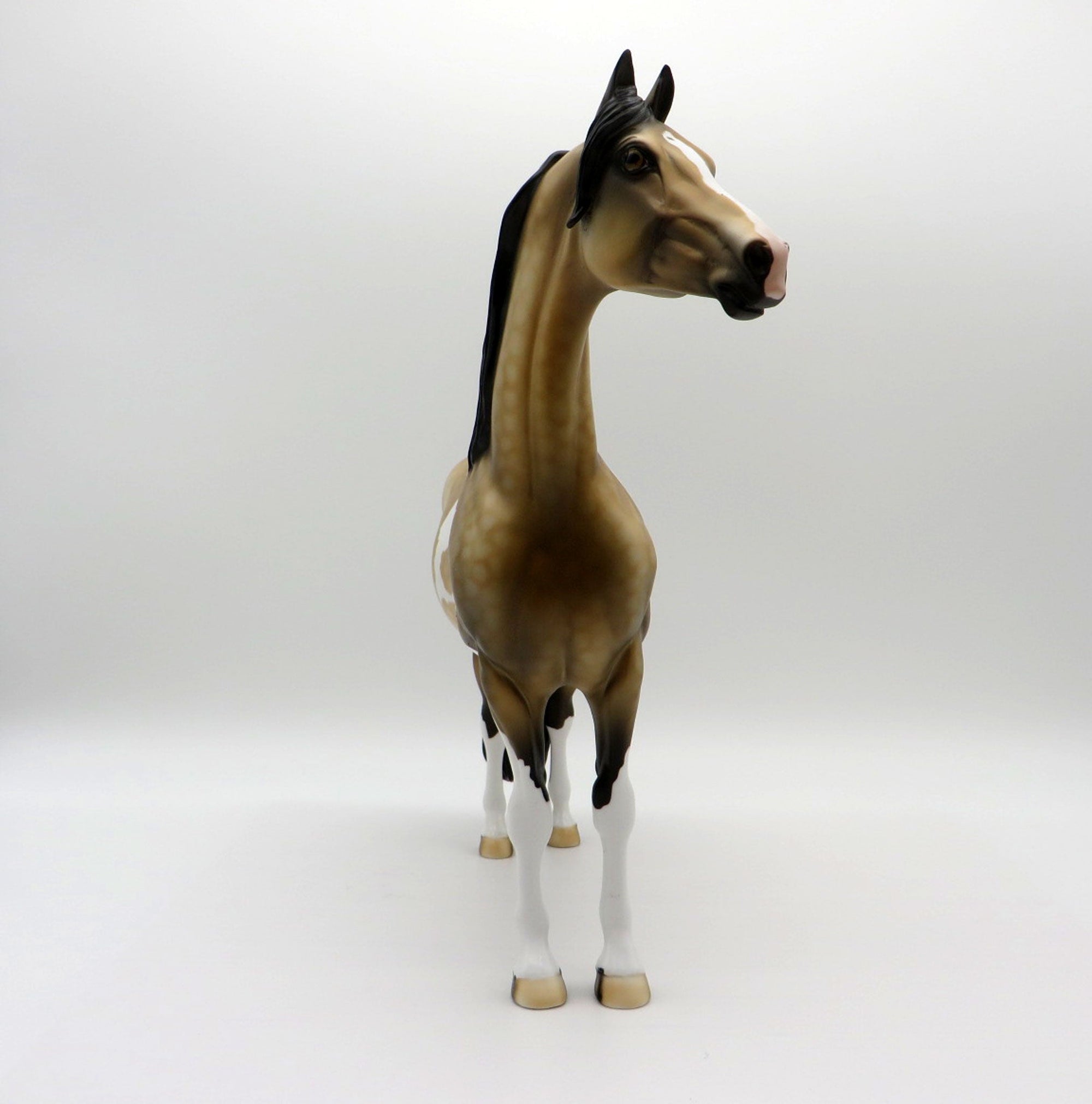 Desert Sky-OOAK Buckskin Morgan Paint  SHCF 2021