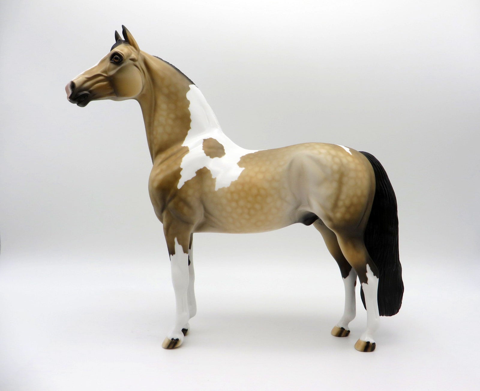 Desert Sky-OOAK Buckskin Morgan Paint  SHCF 2021