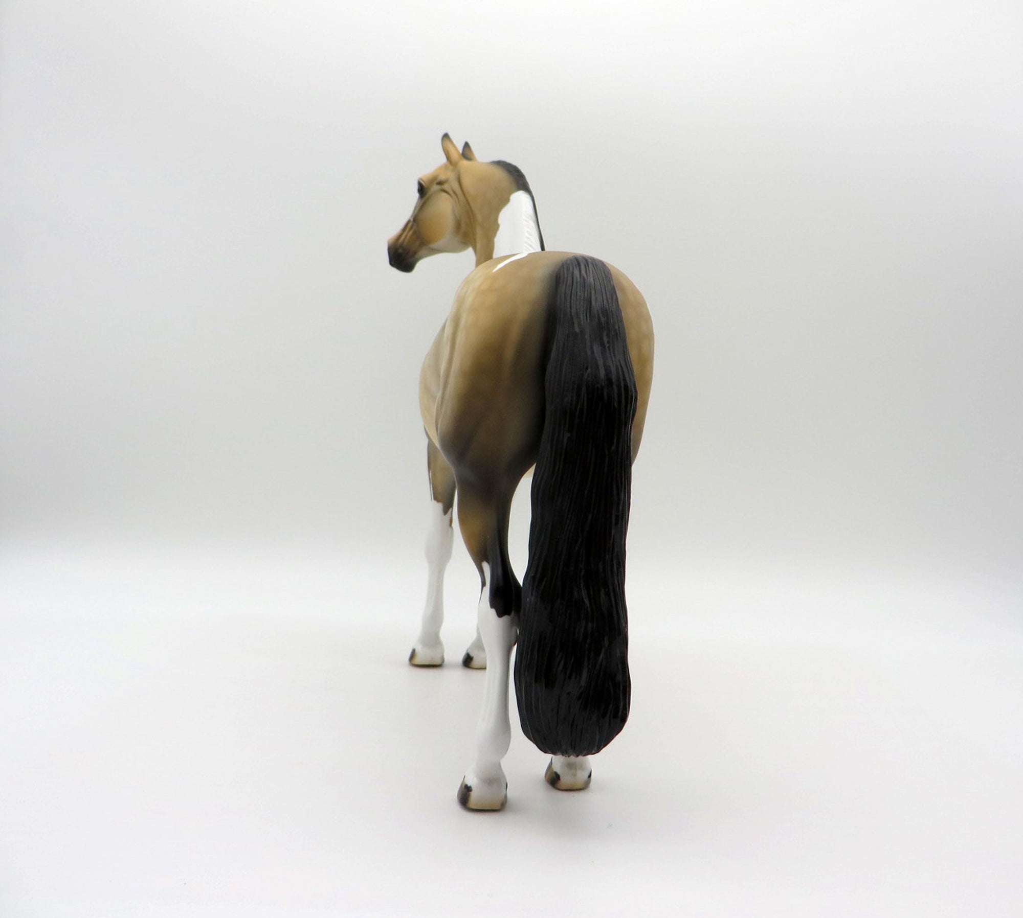 Desert Sky-OOAK Buckskin Morgan Paint  SHCF 2021