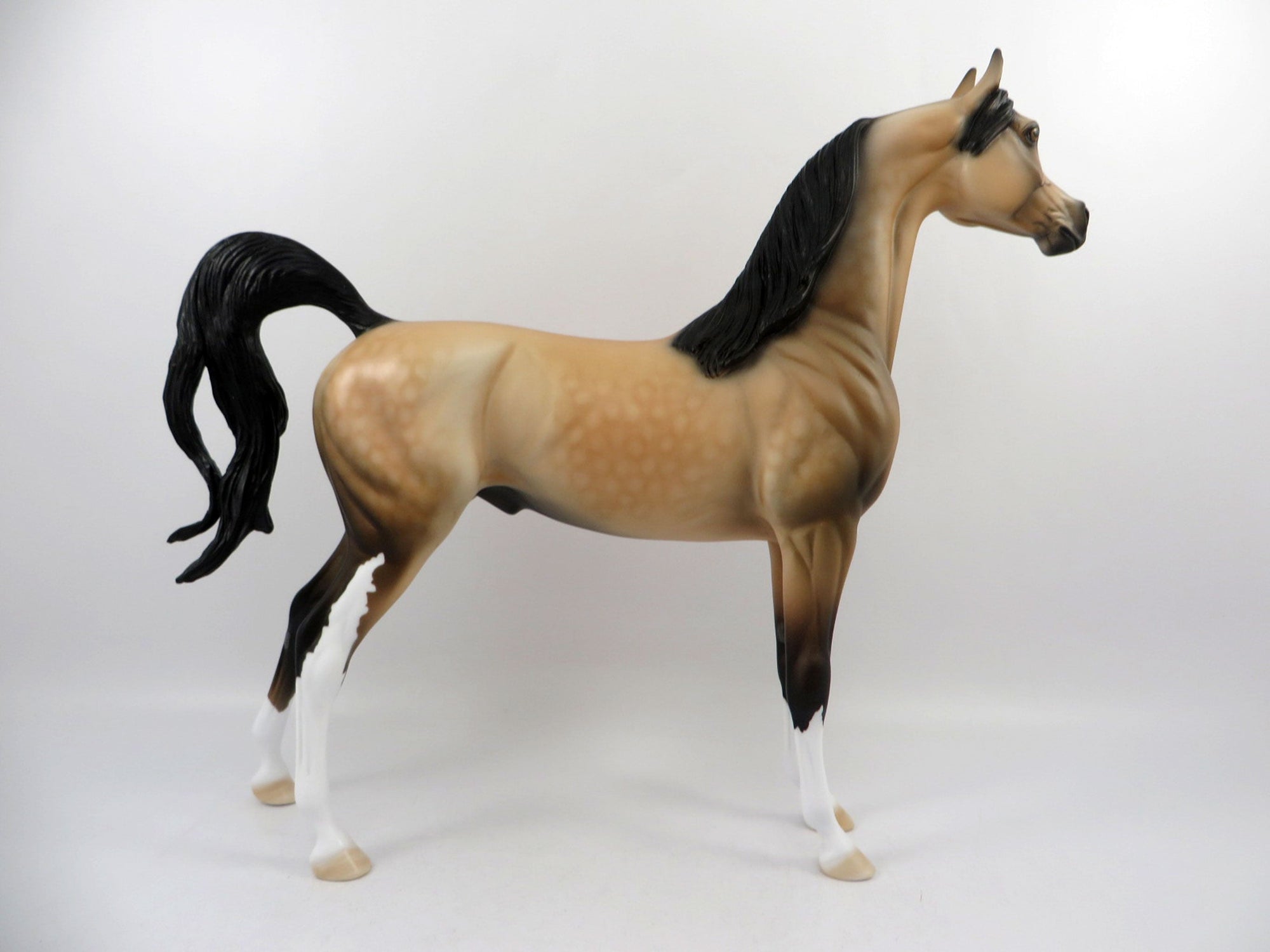 Destination-OOAK Buckskin Arabian Painted By Audrey Dixon 3/12/21