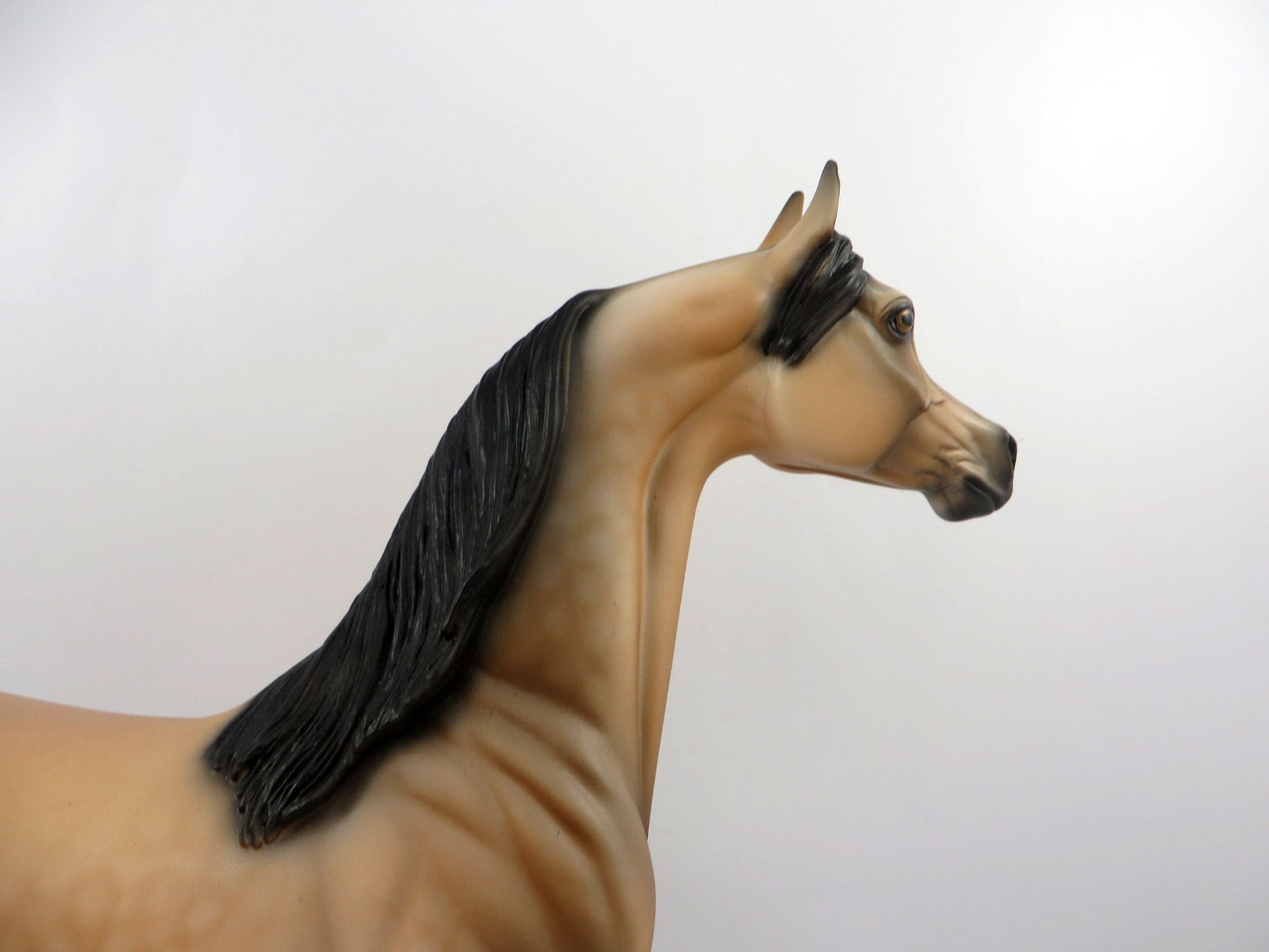 Destination-OOAK Buckskin Arabian Painted By Audrey Dixon 3/12/21