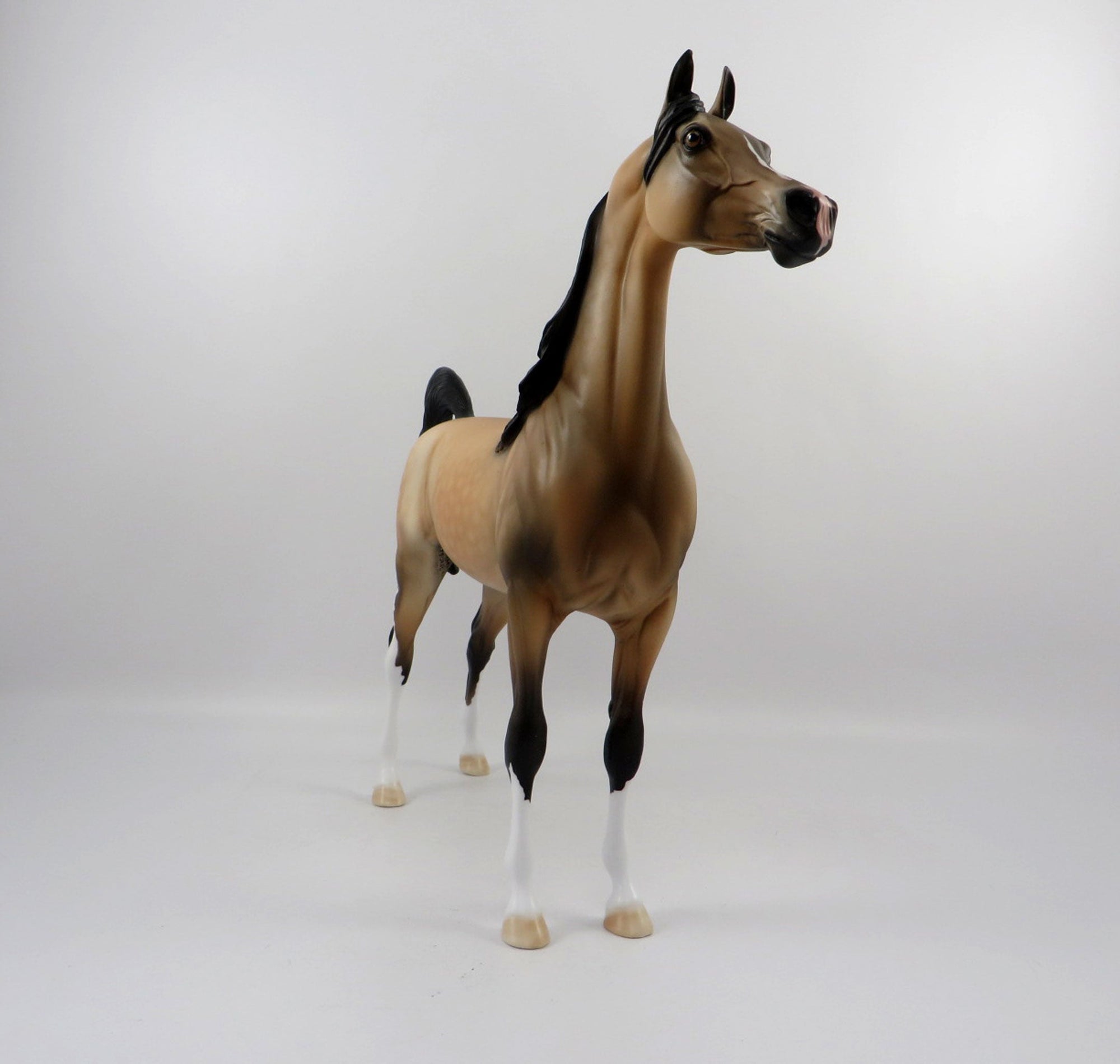 Destination-OOAK Buckskin Arabian Painted By Audrey Dixon 3/12/21