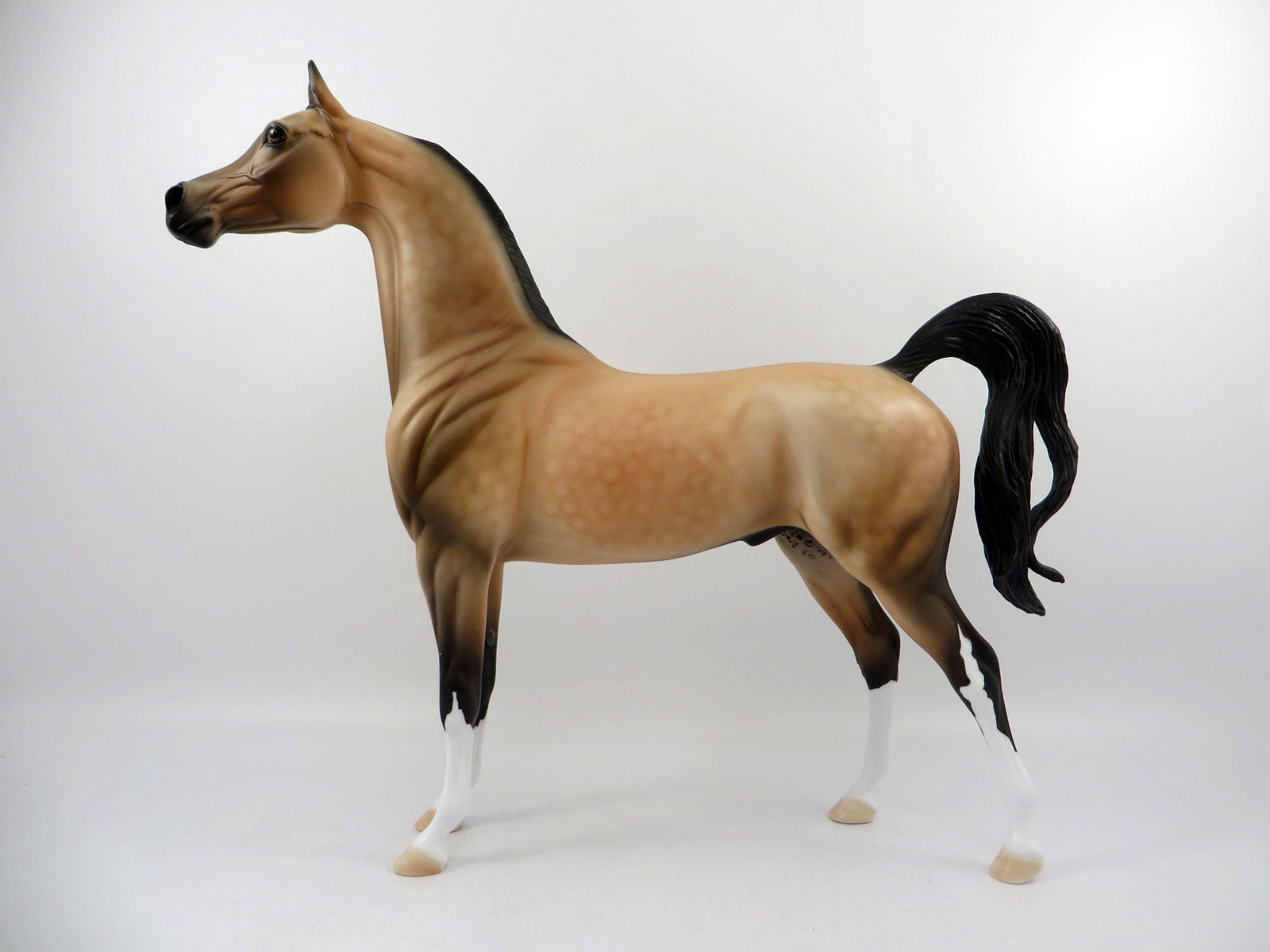 Destination-OOAK Buckskin Arabian Painted By Audrey Dixon 3/12/21