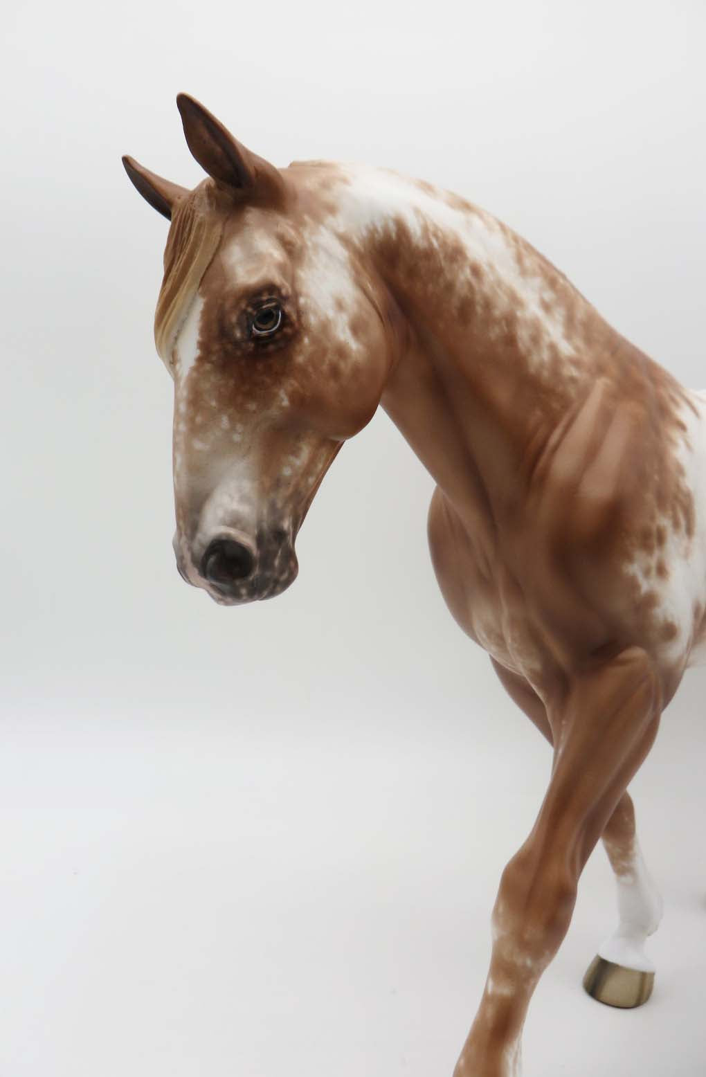 Dew Kiss OOAK Chestnut Appaloosa Irish Draught by Sheryl Leisure SHCF23