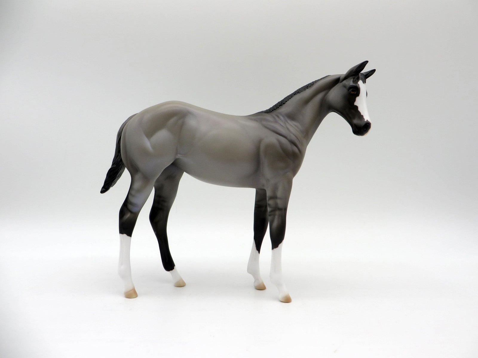 Dialga-OOAK Grulla Weanling Painted By Ellen Robbins 5/14/21