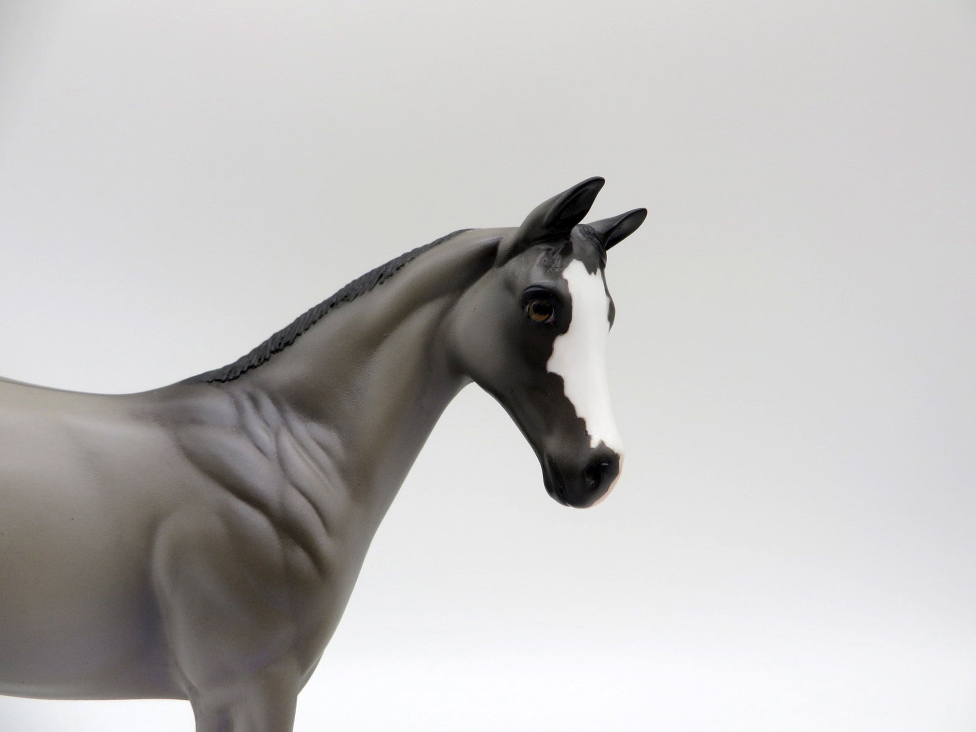 Dialga-OOAK Grulla Weanling Painted By Ellen Robbins 5/14/21