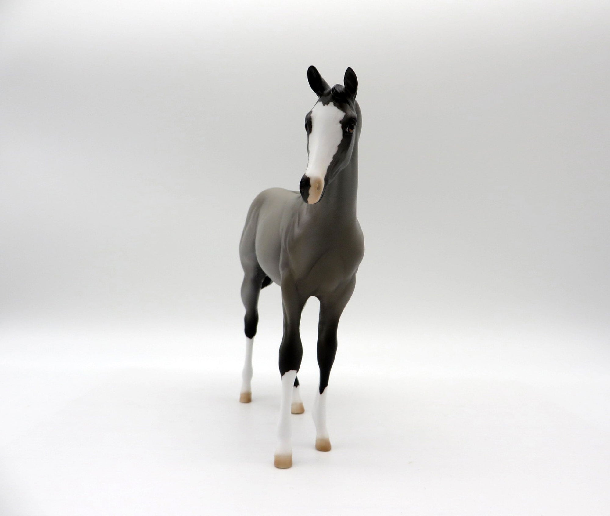 Dialga-OOAK Grulla Weanling Painted By Ellen Robbins 5/14/21