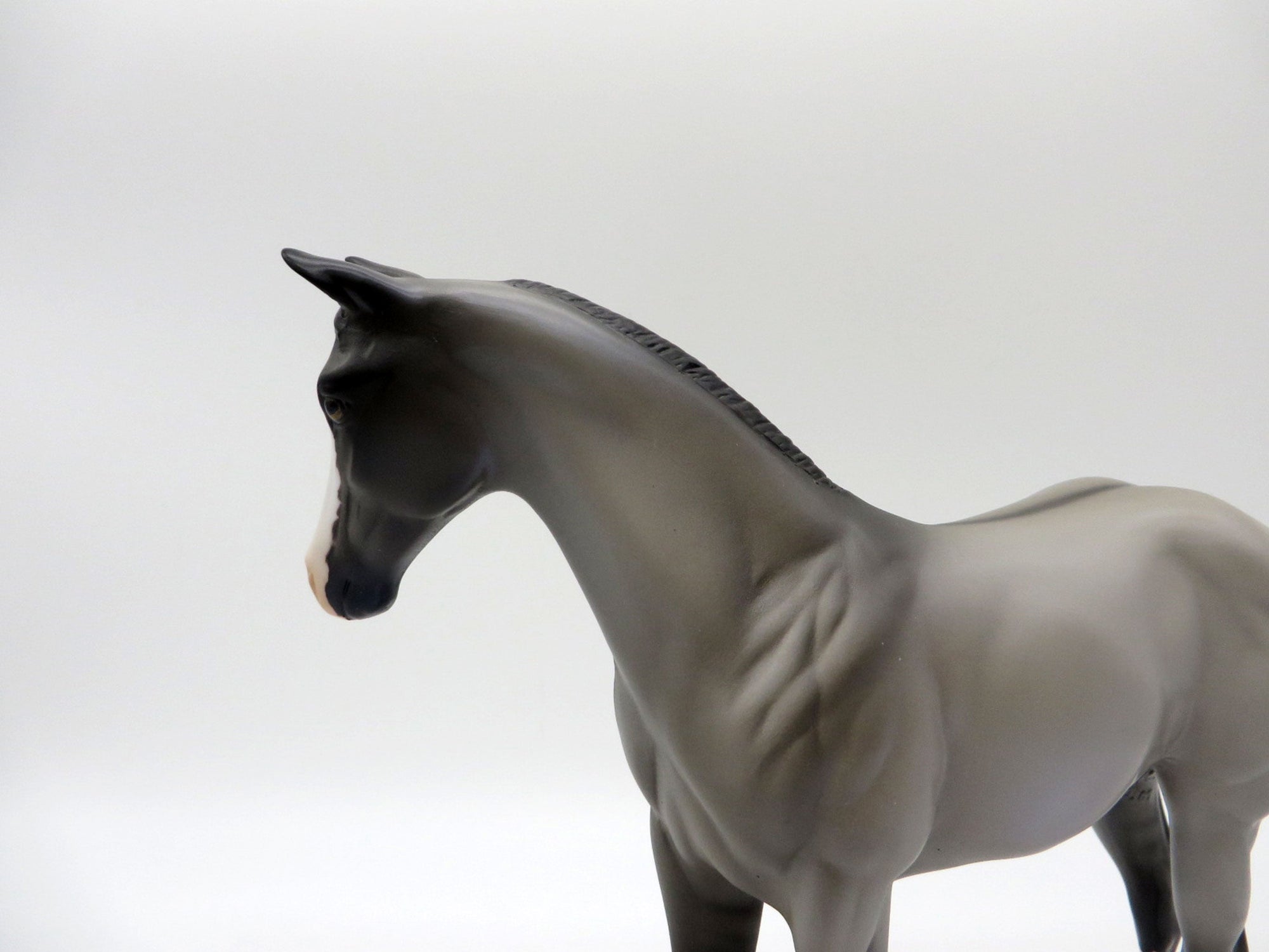 Dialga-OOAK Grulla Weanling Painted By Ellen Robbins 5/14/21