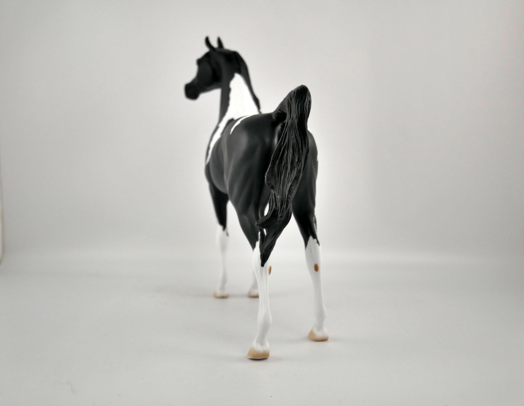DICE-OOAK BLACK TOBIANO ARABIAN BY ELLEN ROBBINS 12/09/20