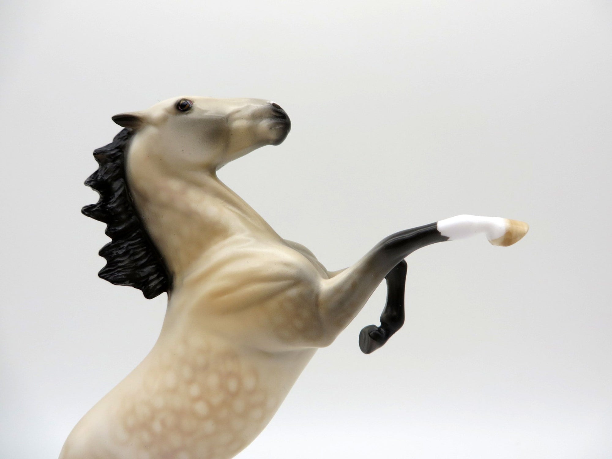 Dickens-OOAK Dapple Buckskin Rearing Pebbles Painted By Dawn Quick  EQ 2021