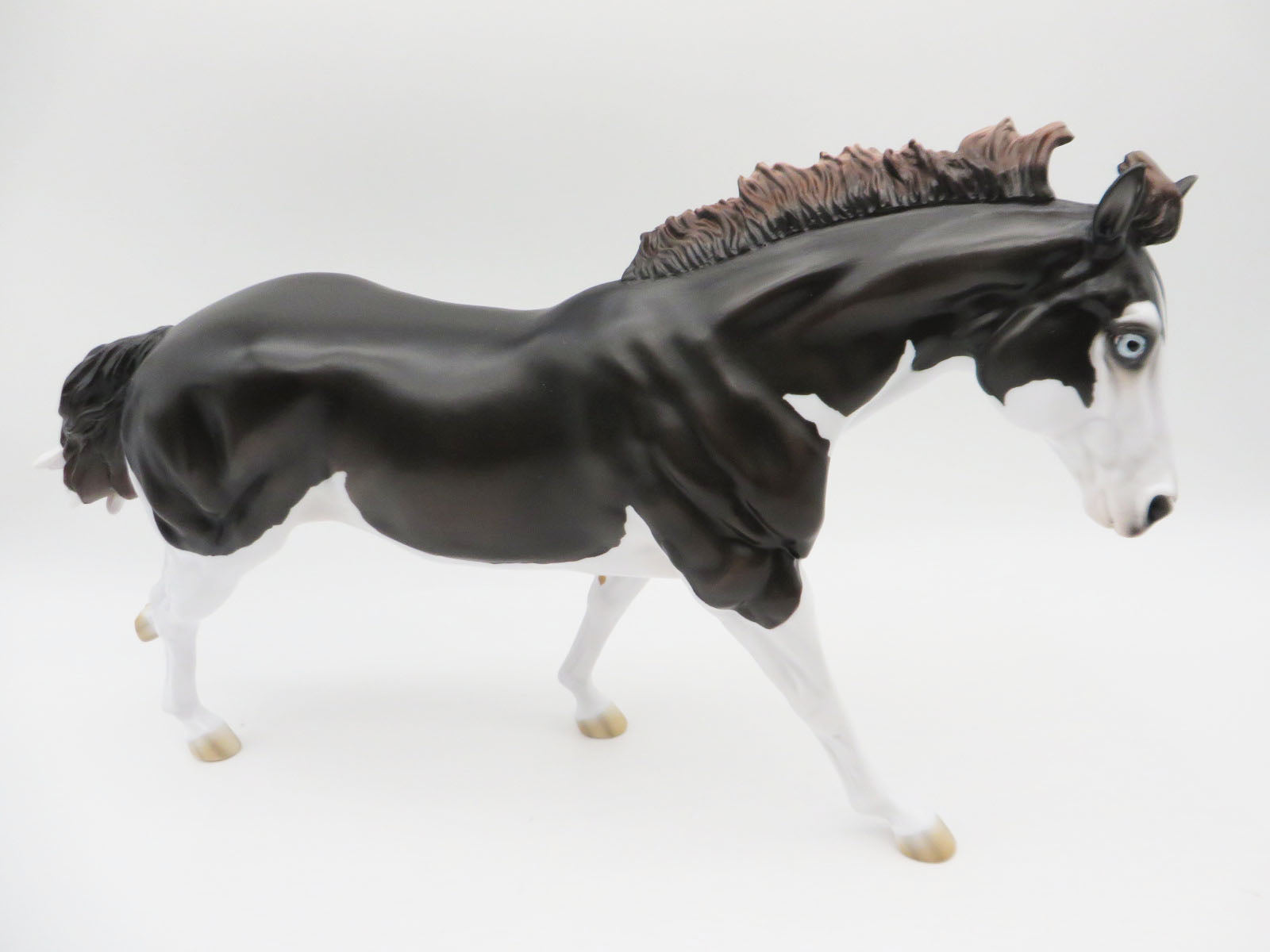 Kids Auction EQ23 Diesel-LE-15 Running Stock Horse Husky-By Jess Hamill