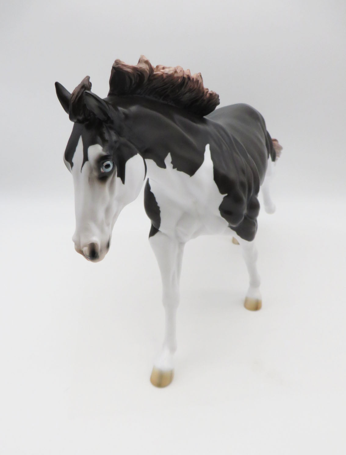 Kids Auction EQ23 Diesel-LE-15 Running Stock Horse Husky-By Jess Hamill