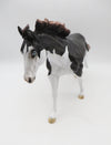 Diesel-LE-15 Running Stock Horse Husky-By Jess Hamill P&amp;C 23