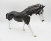 Diesel-LE-15 Running Stock Horse Husky-By Jess Hamill P&amp;C 23