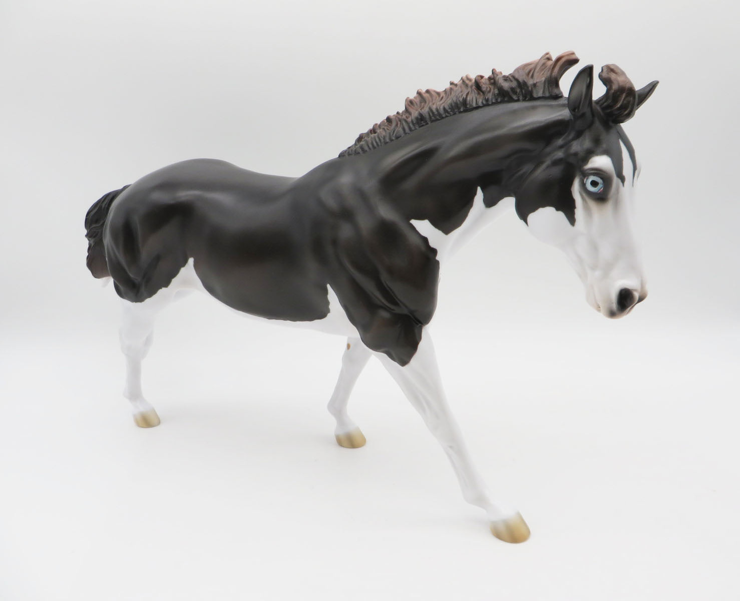 Diesel-LE-15 Running Stock Horse Husky-By Jess Hamill P&C 23